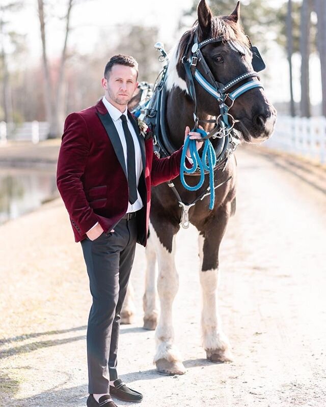 Horses go perfect with Rolling Tavern - Formerly a horse trailer, now a mobile cocktail bar.
.
.
.
Want horses at your wedding? @southerncharmcarriages can help with that 🐎🍹👰
.
.
.
📸: @aliciahitephotography 🤵: @ebskula 
#mobilebar #horsesofinsta