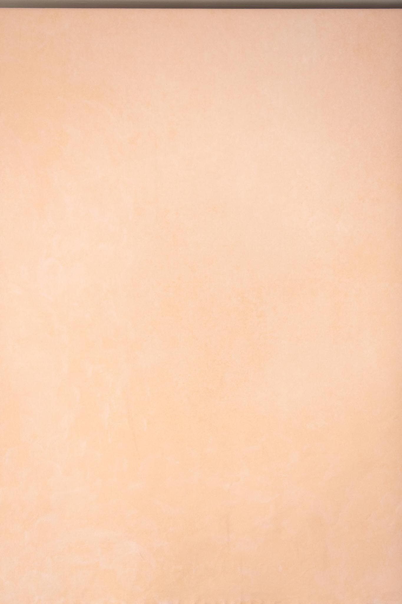 Solid light peach-colored background with no distinguishable objects