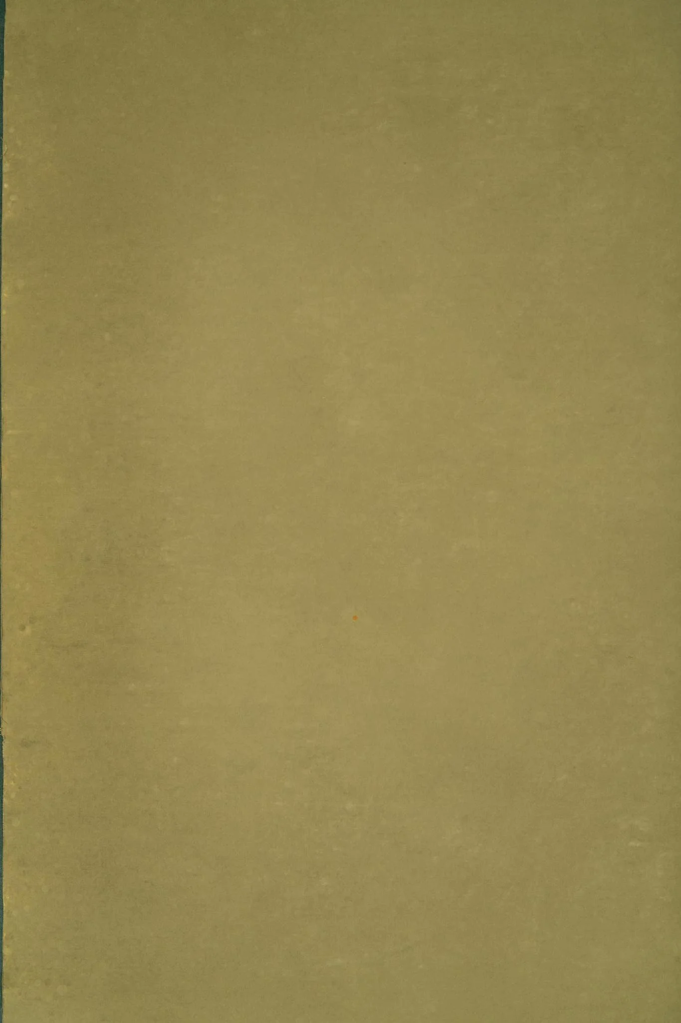 A plain, solid-colored wall in a golden hue.