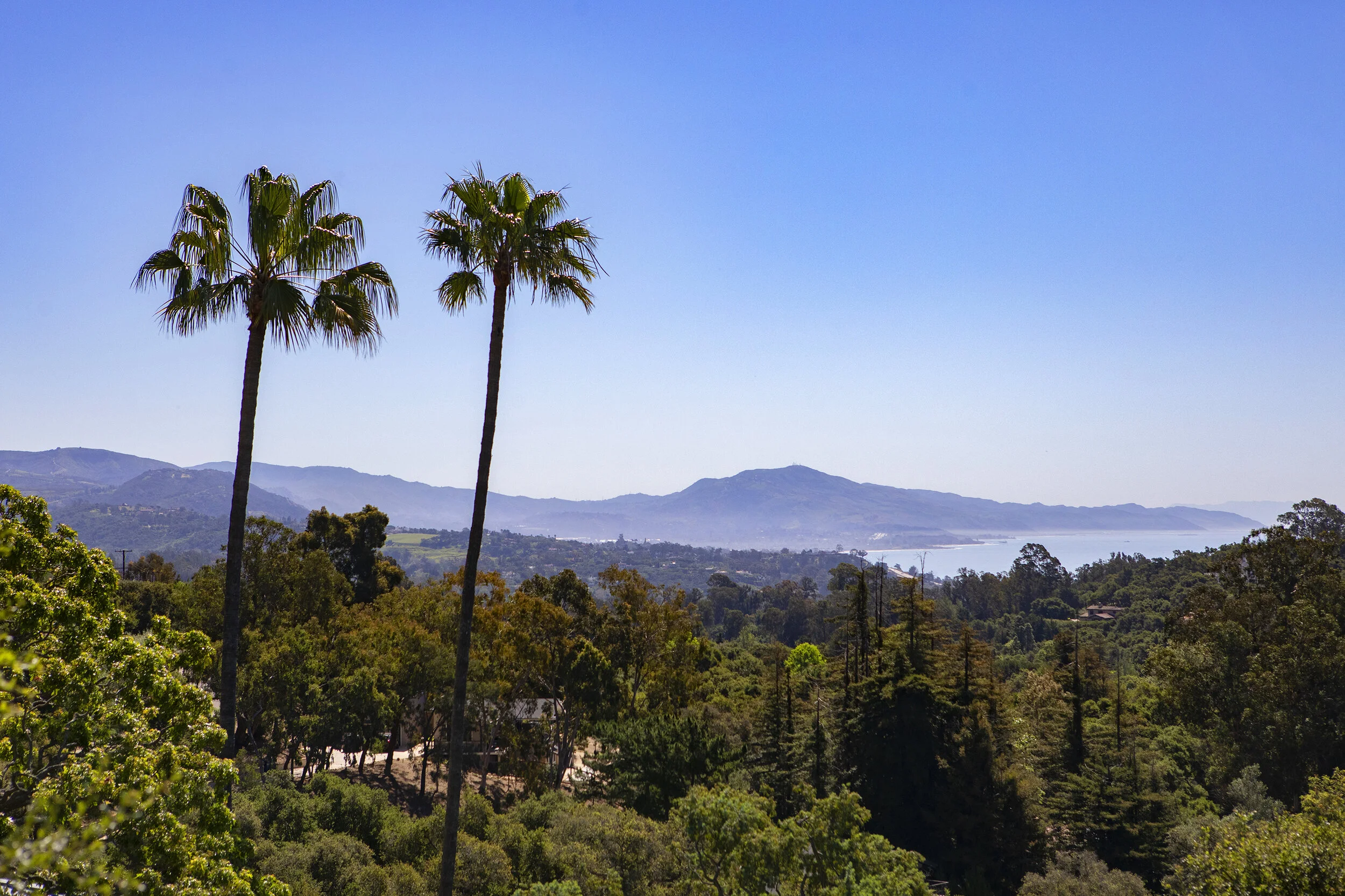 web_Eucalyptus_Hill_1.jpg