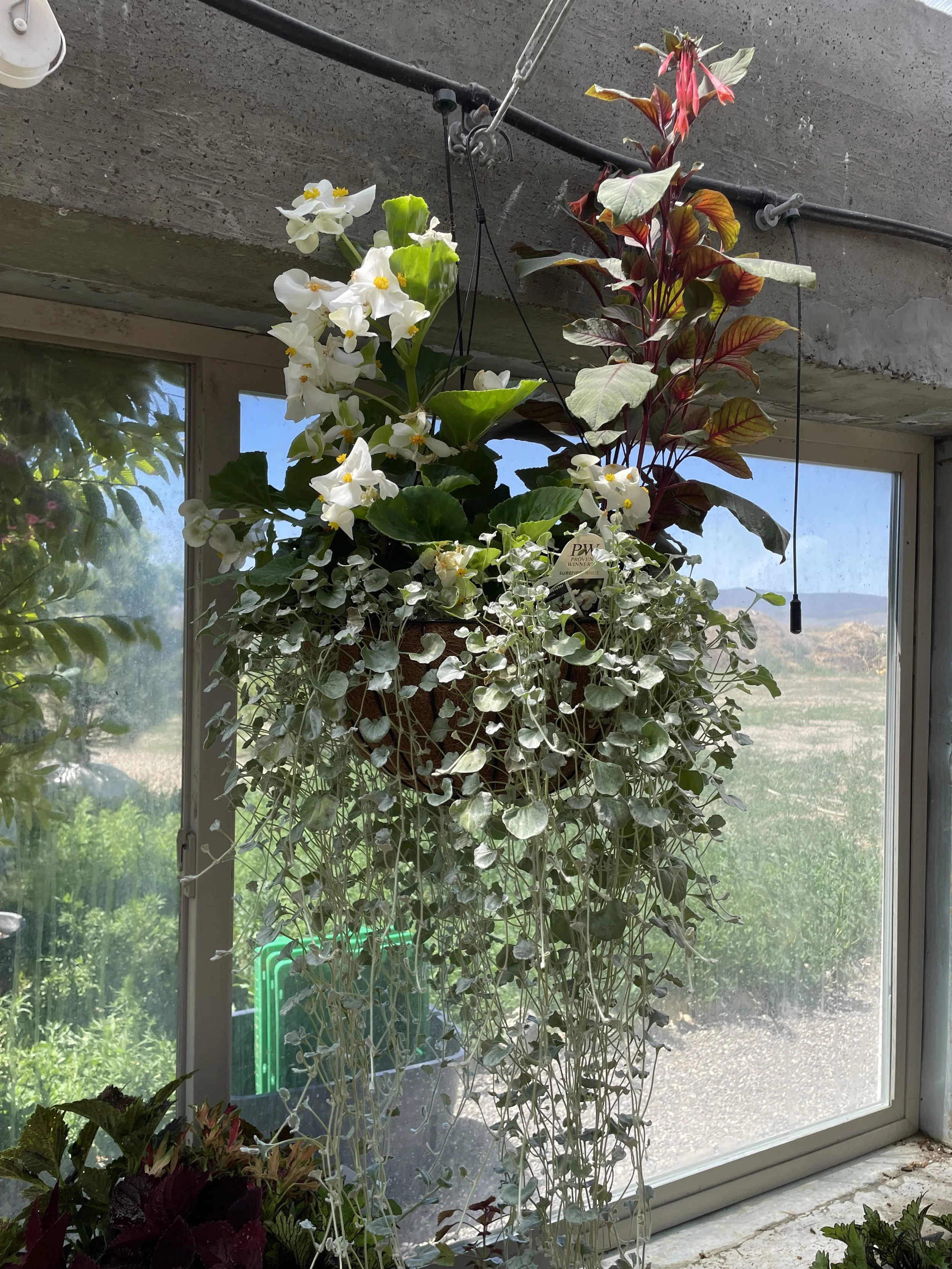 Photo Jun 19 2025, 10 58 08 AM.jpg