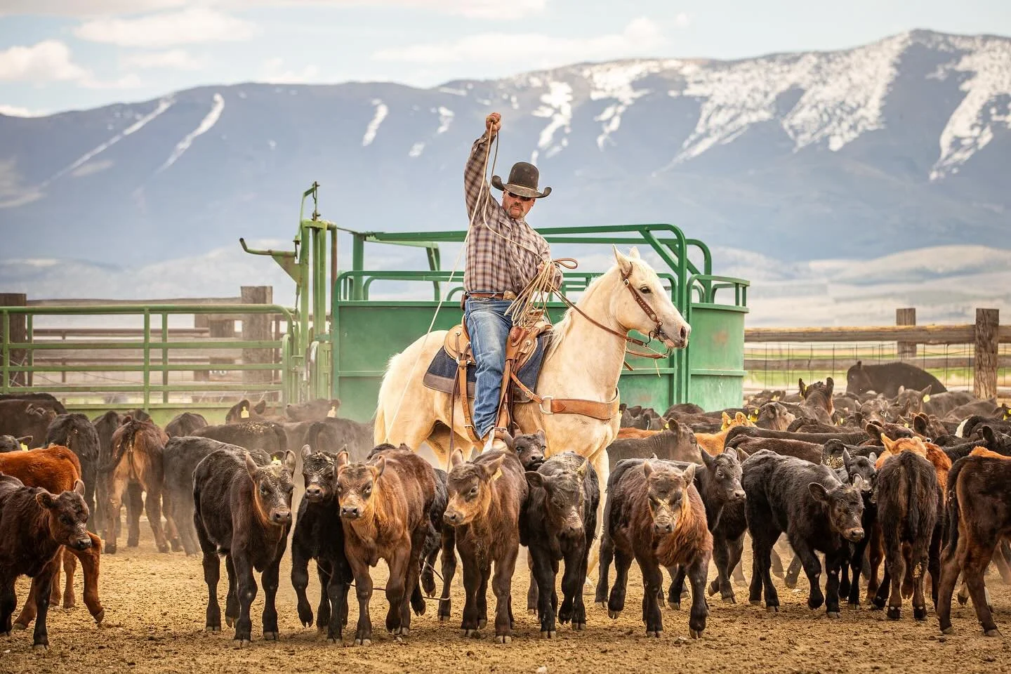Front facing branding shots are my absolute favorite! Have a blessed week!!

#longlivecowboys #ranching #workingranch #workingranchmagazine #ranchlifephotography #westernphotography #westernart #westernartist