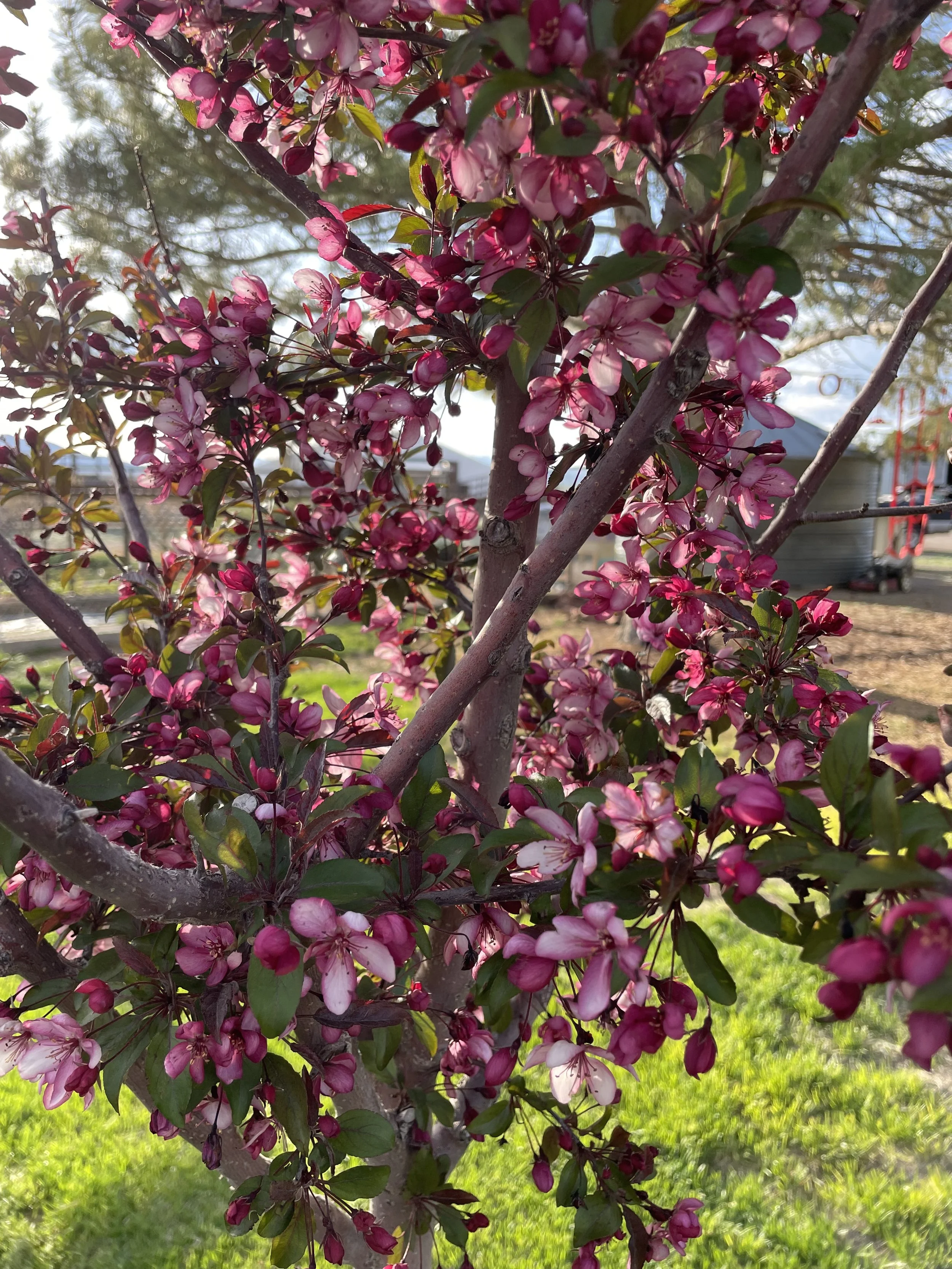 Photo May 08 2025, 6 21 38 PM.jpg