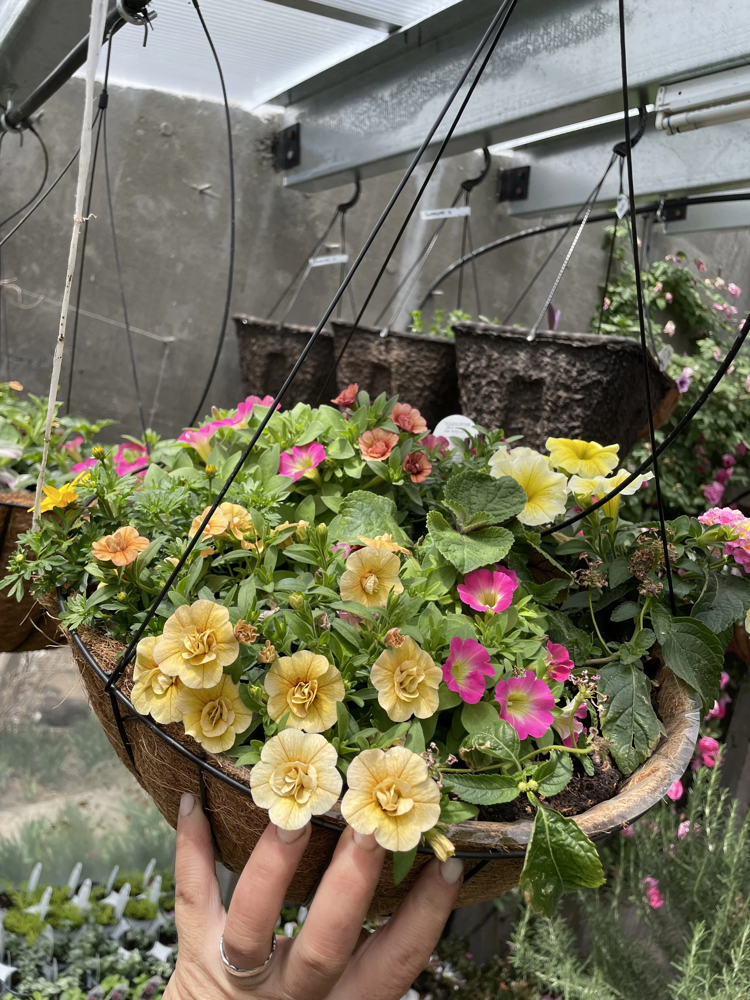 Photo Apr 18 2025, 1 01 20 PM.jpg