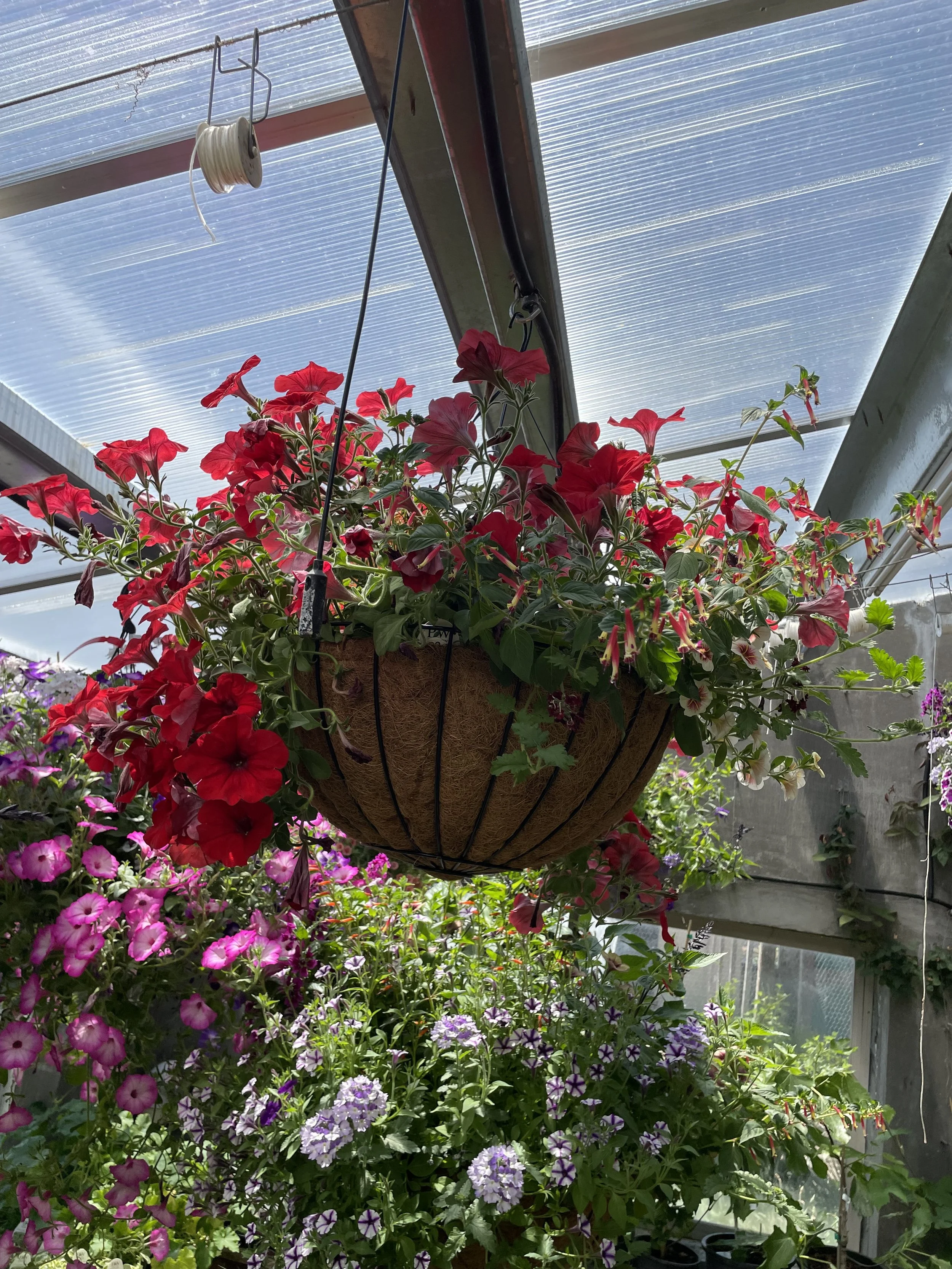 Photo May 30 2025, 1 48 51 PM.jpg