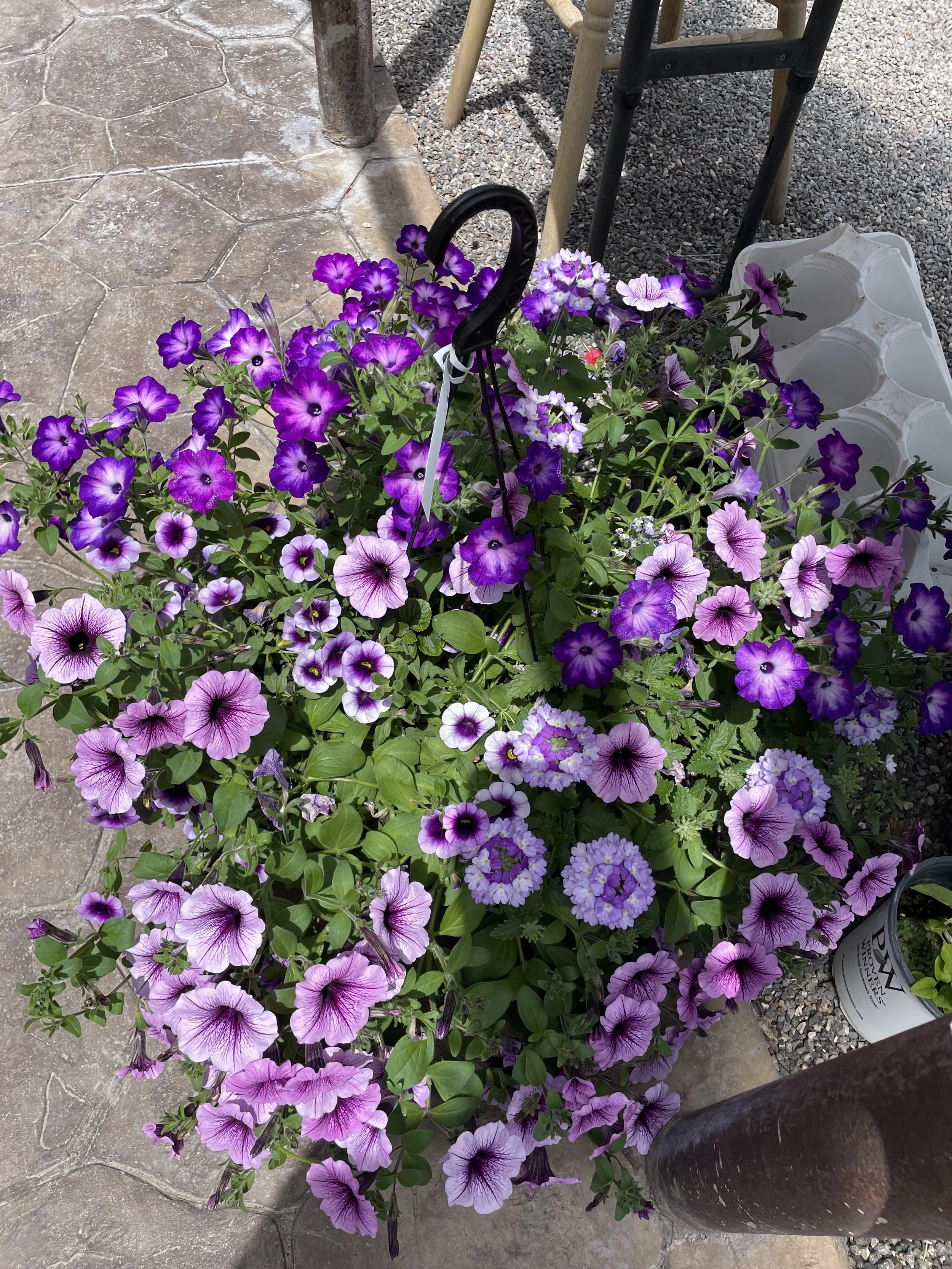 Photo May 23 2025, 1 33 34 PM.jpg