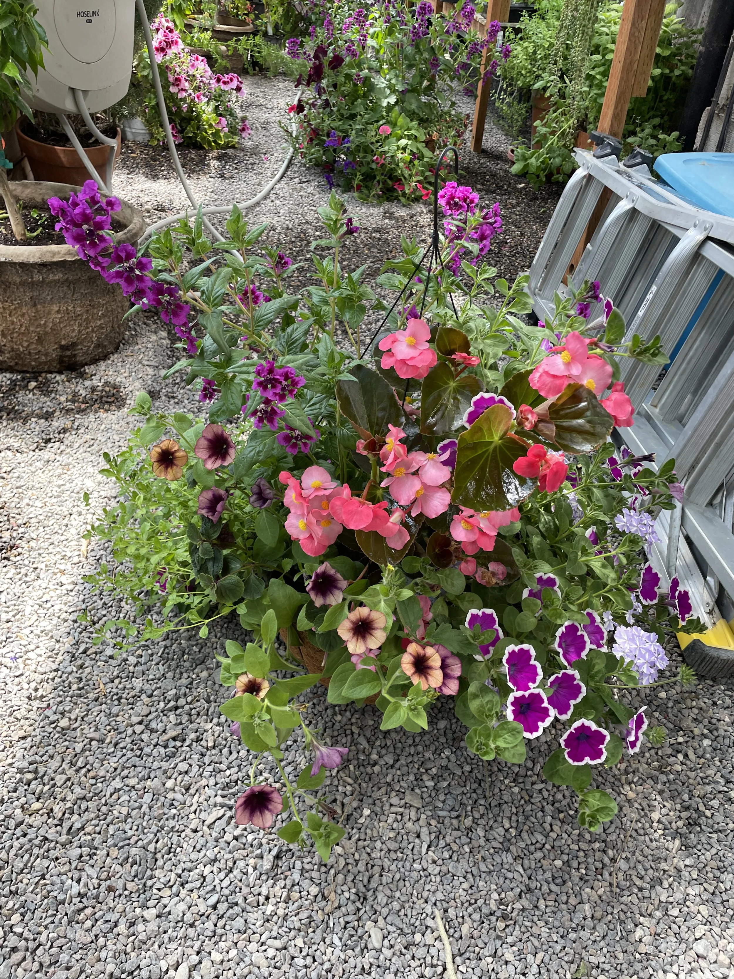 Photo May 19 2025, 2 49 30 PM.jpg