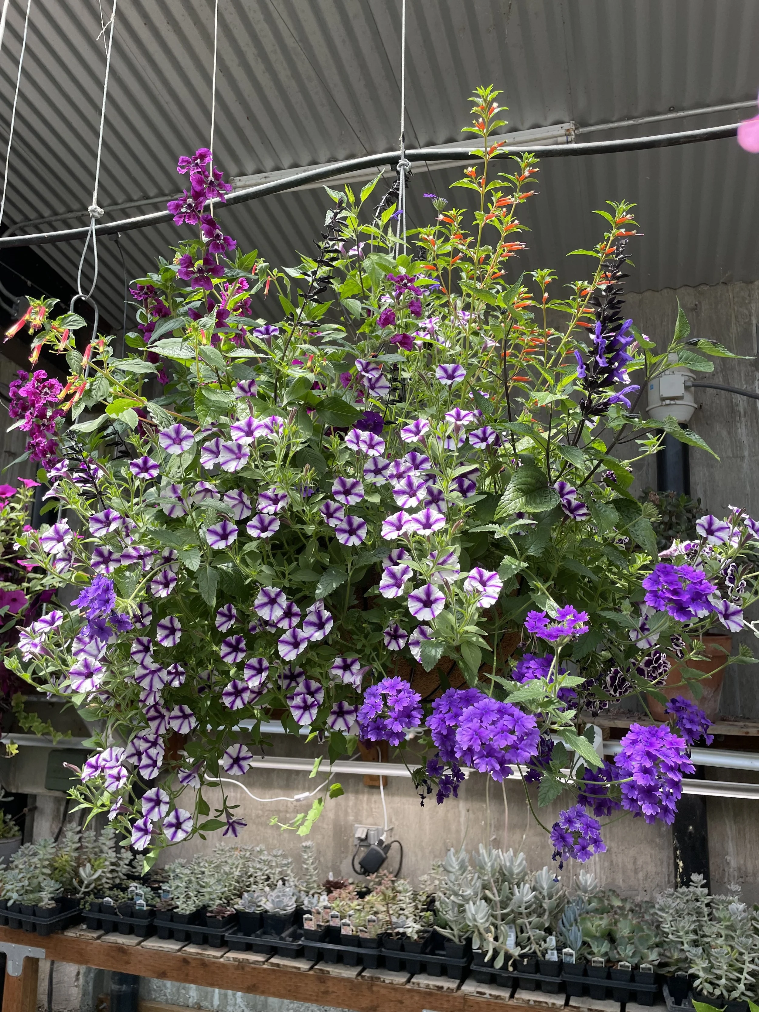 Photo May 30 2025, 1 46 48 PM.jpg