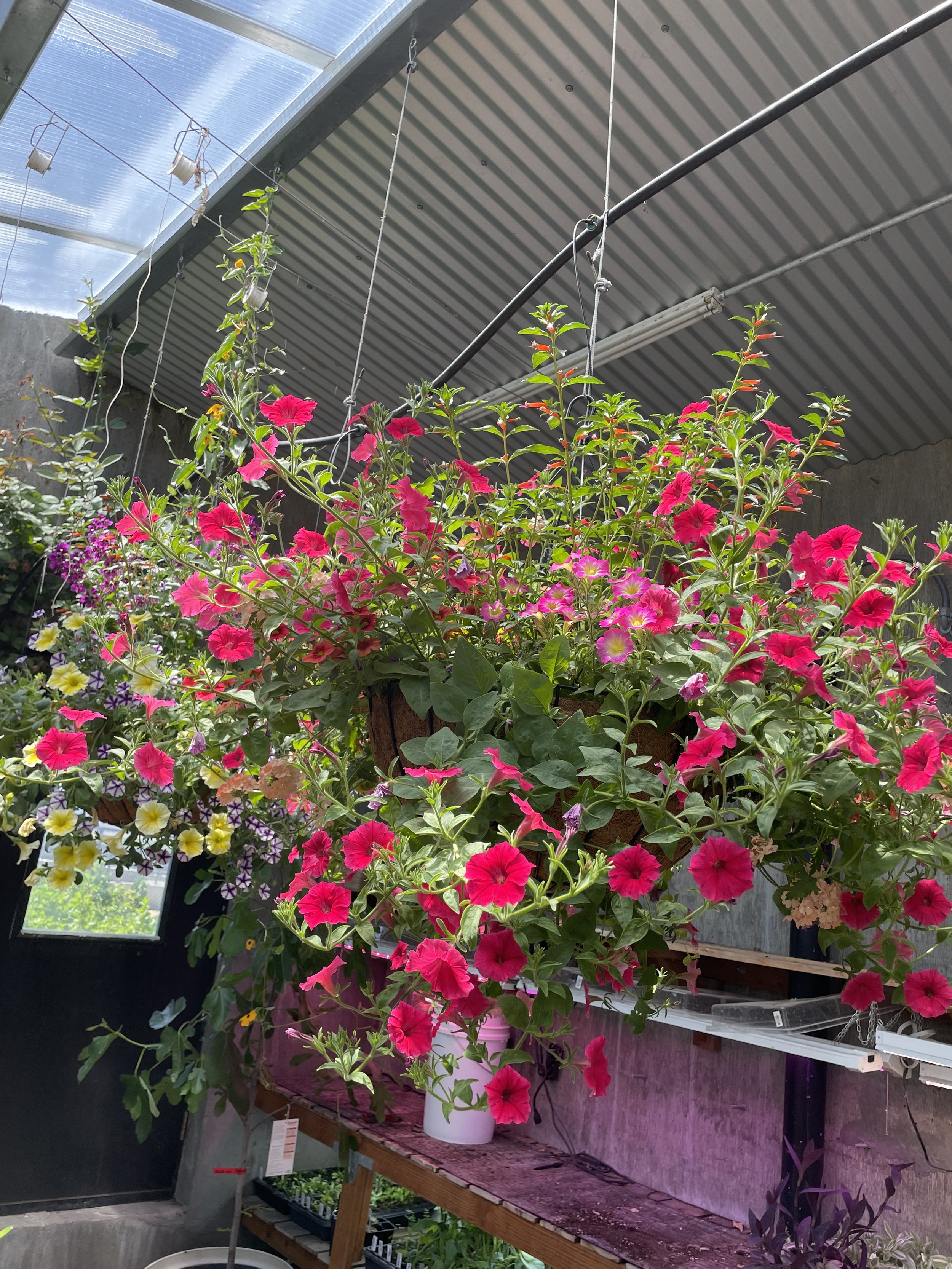 Photo May 30 2025, 1 48 06 PM.jpg