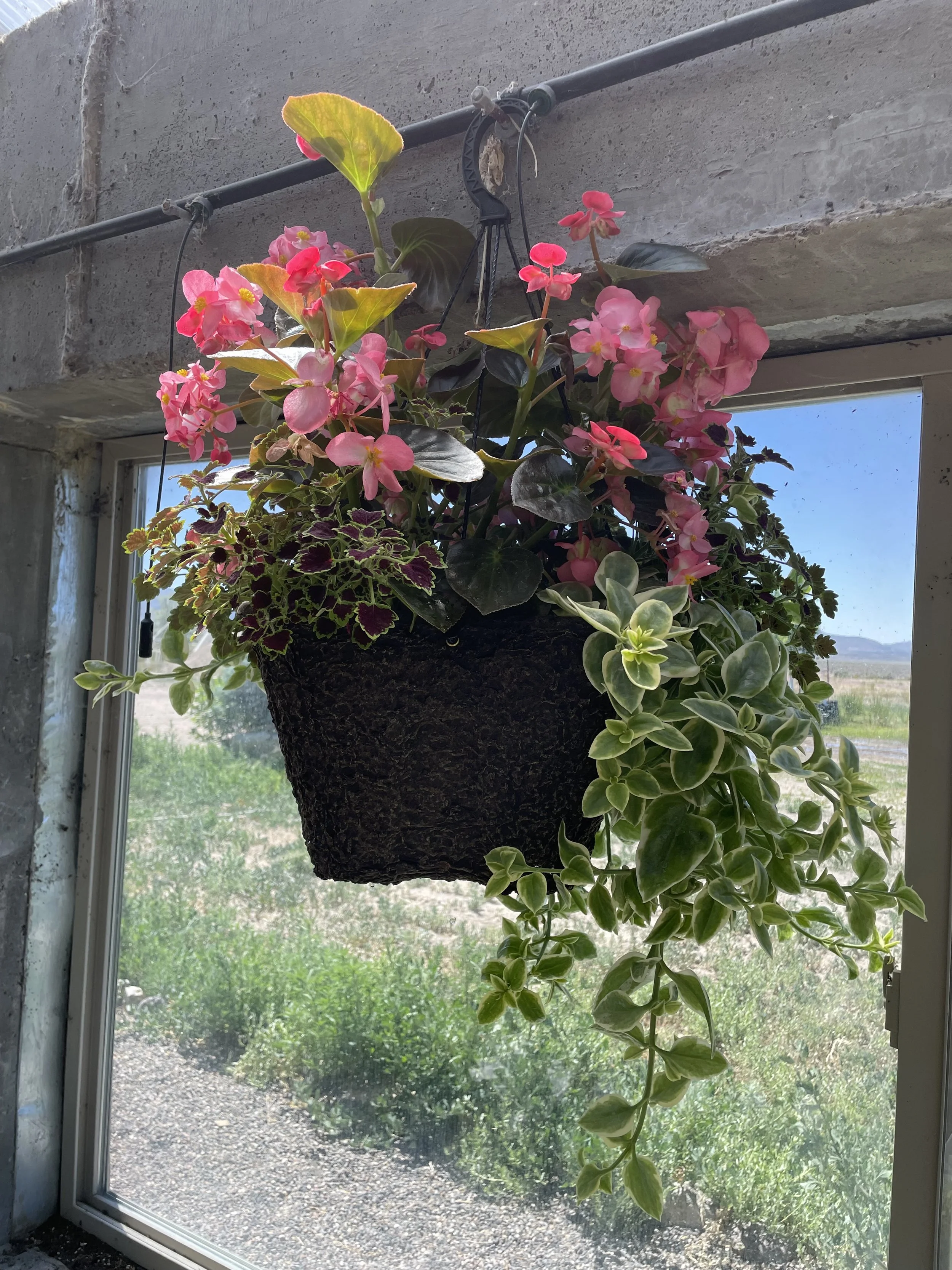 Photo Jun 19 2025, 10 58 32 AM.jpg