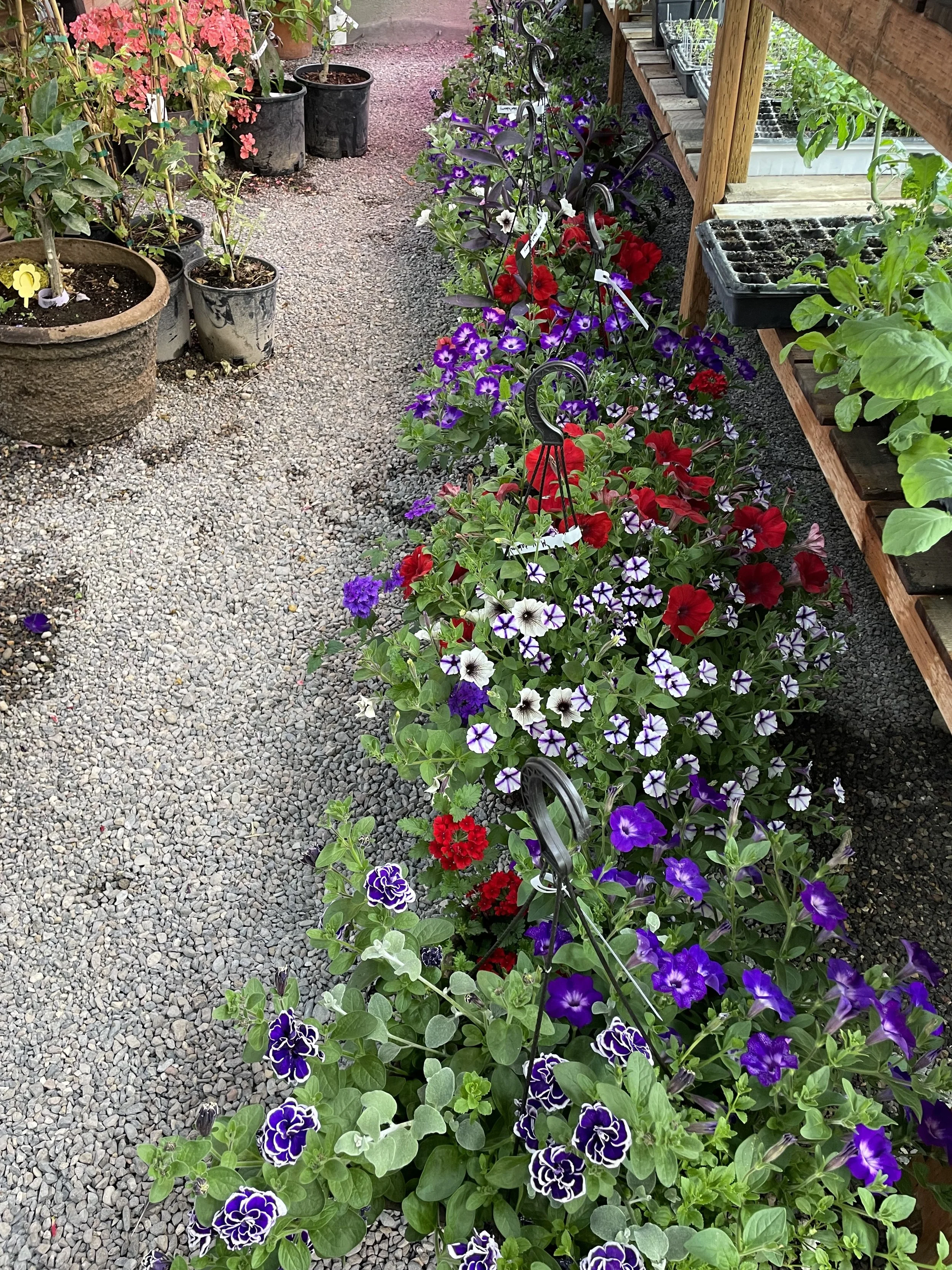 Photo May 16 2025, 7 00 08 PM.jpg