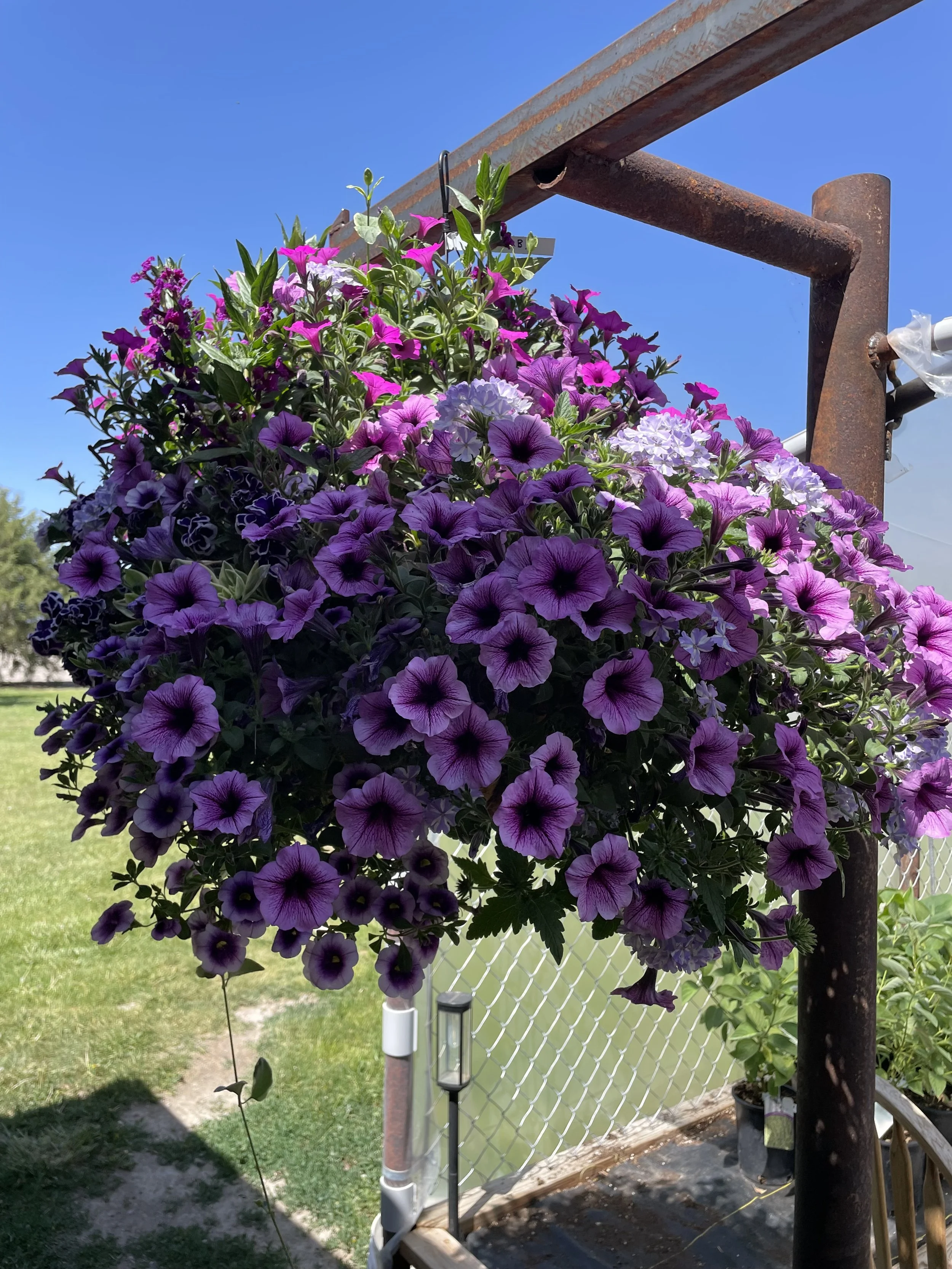 Photo Jun 13 2025, 2 53 15 PM.jpg