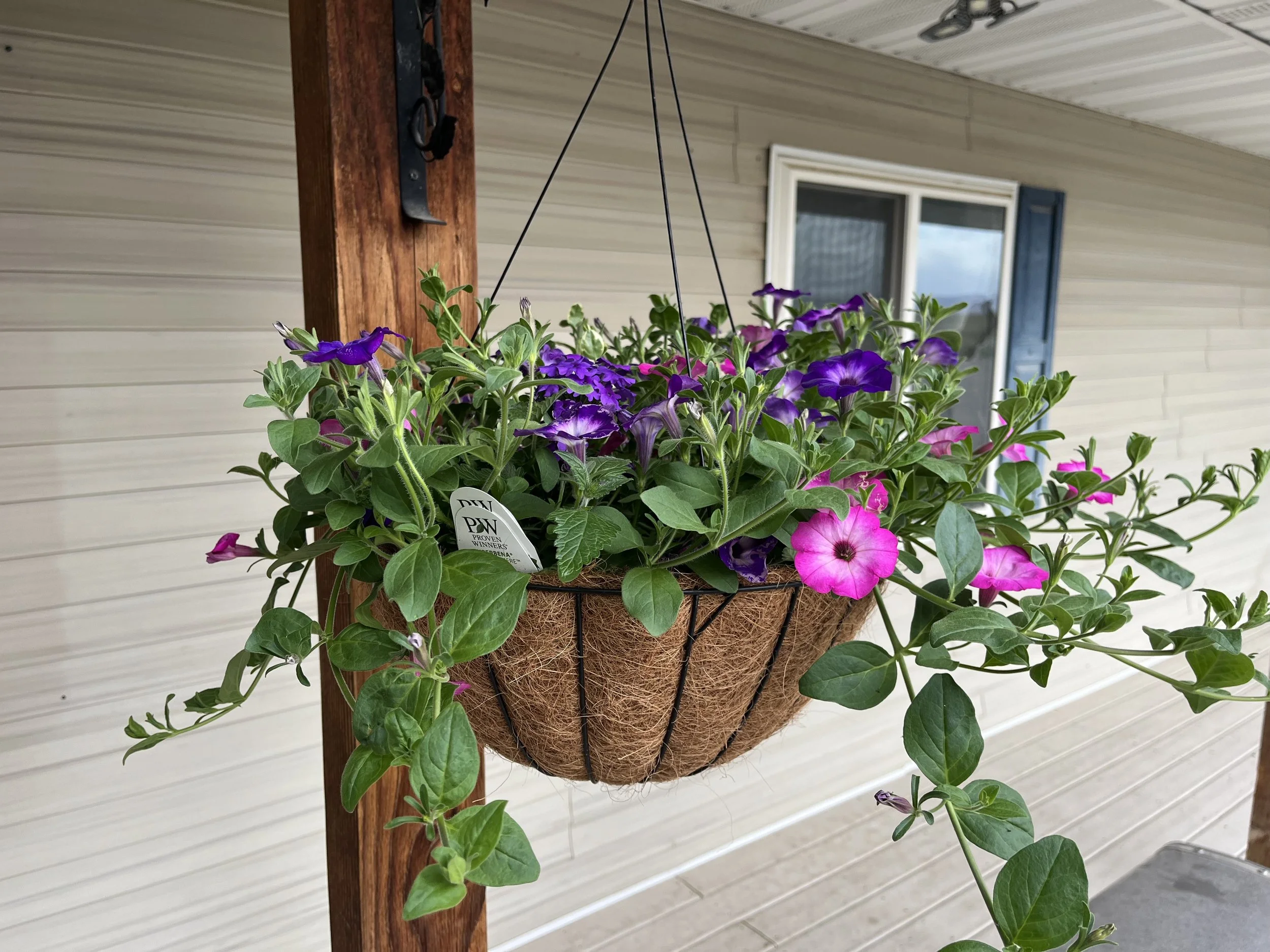 Photo Apr 24 2025, 4 58 26 PM.jpg