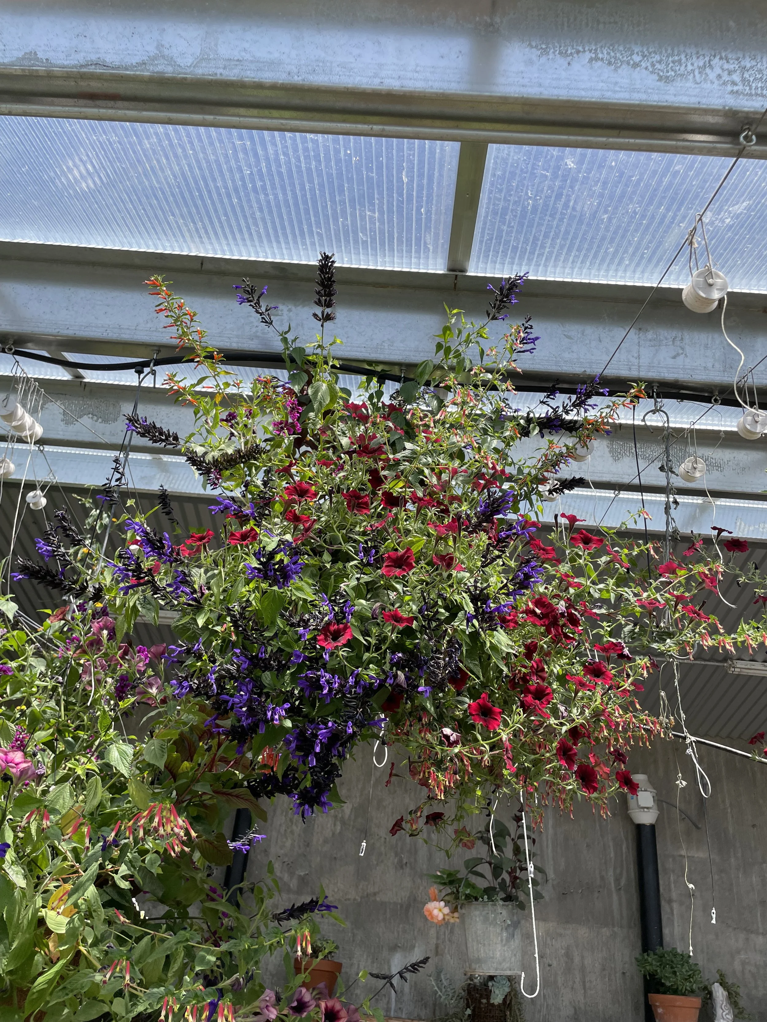 Photo Jun 19 2025, 11 41 39 AM.jpg