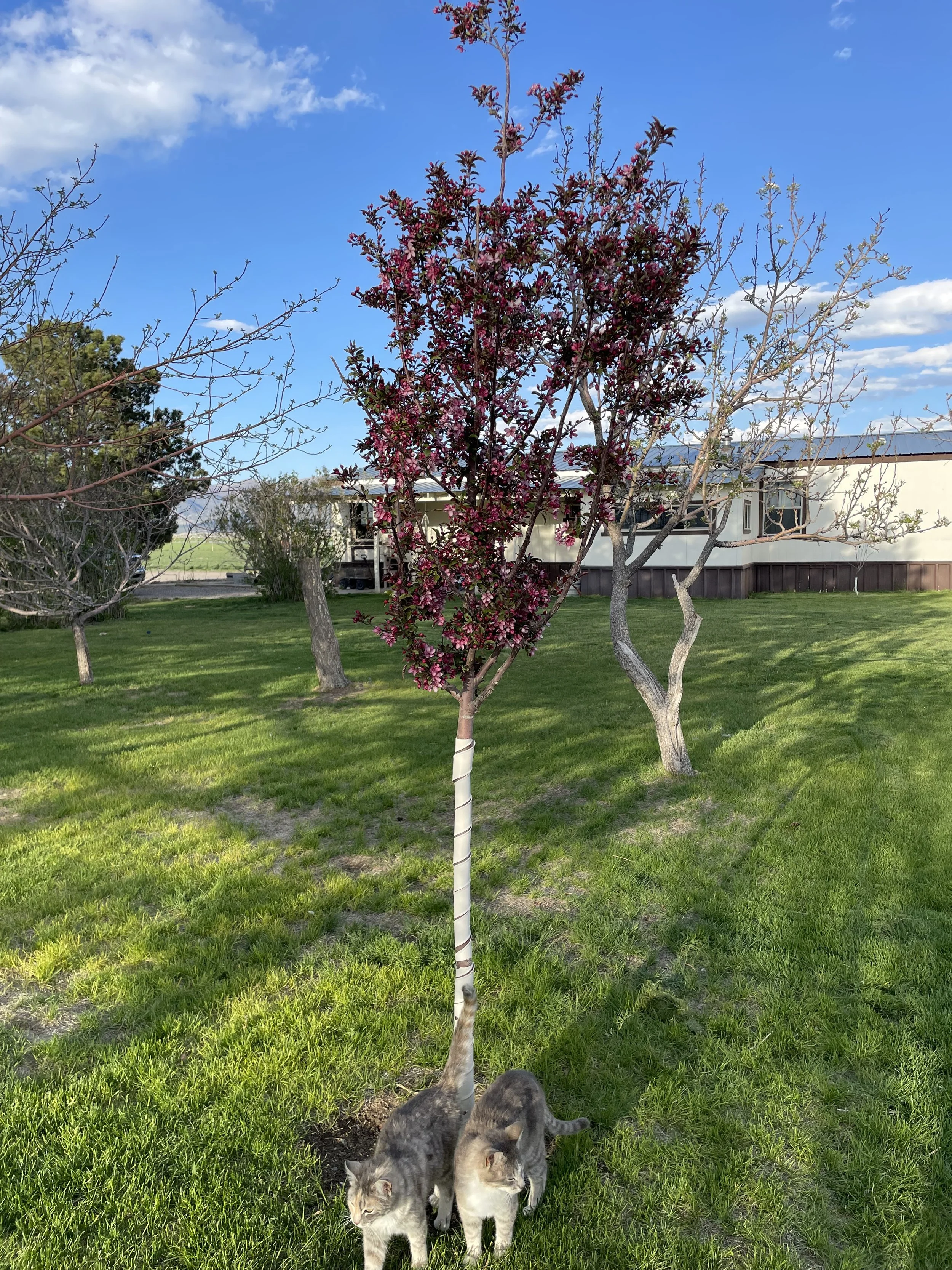 Photo May 08 2025, 6 22 52 PM.jpg