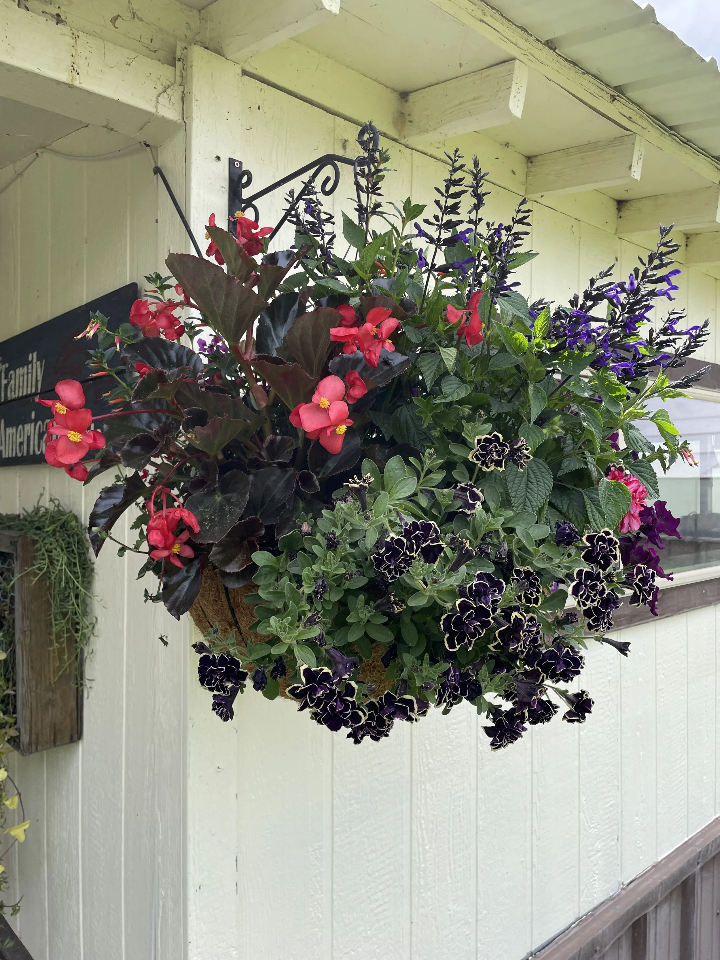 Photo Jun 14 2025, 11 46 25 AM.jpg