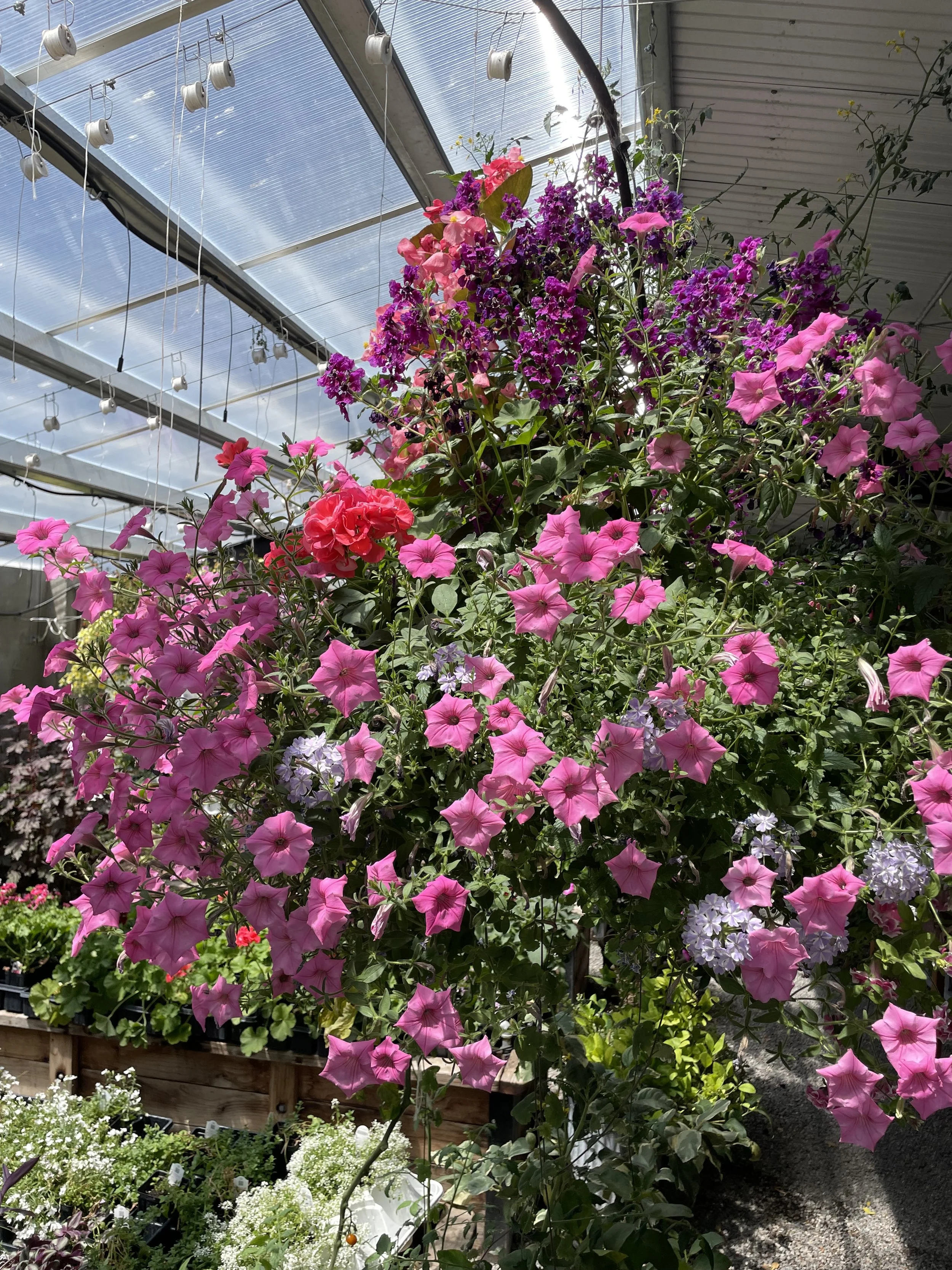 Photo Jun 19 2025, 11 38 50 AM.jpg