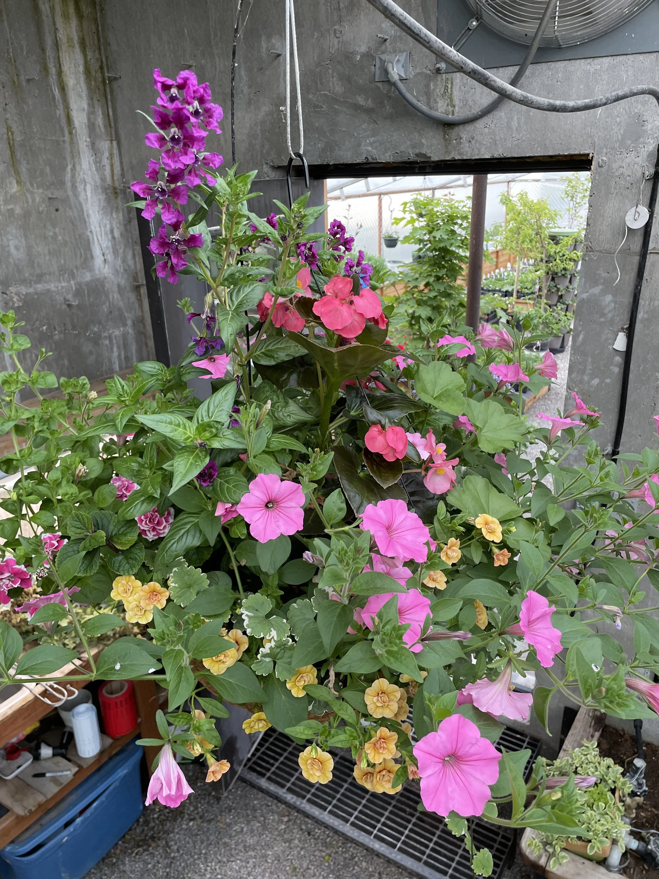 Photo May 16 2025, 6 44 11 PM.jpg