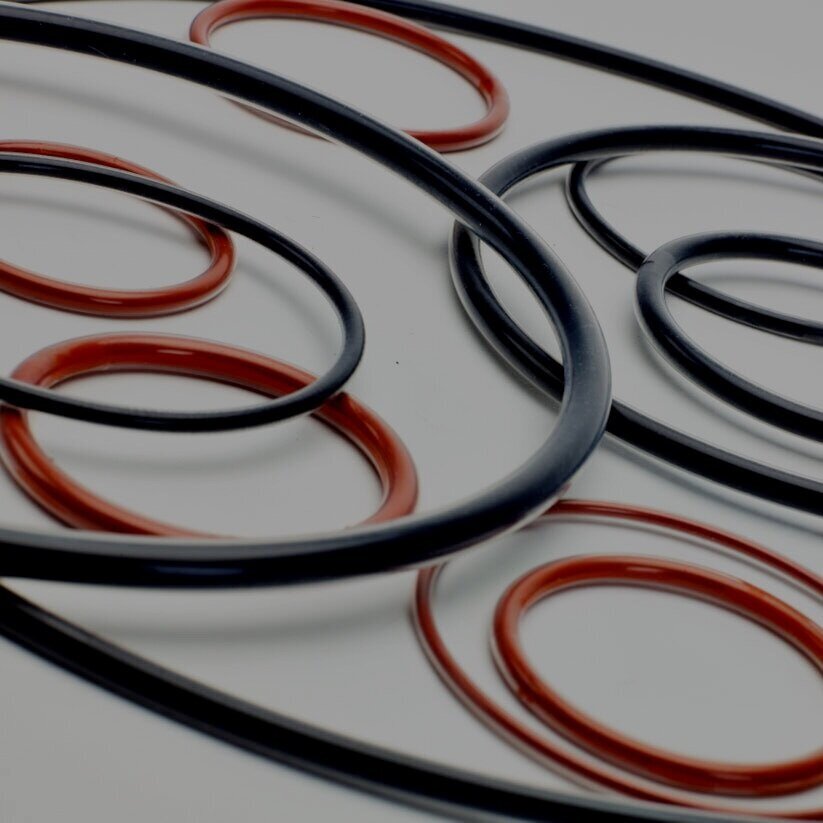 High Quality Metal Detectable O-rings Distributor - SSP Seals