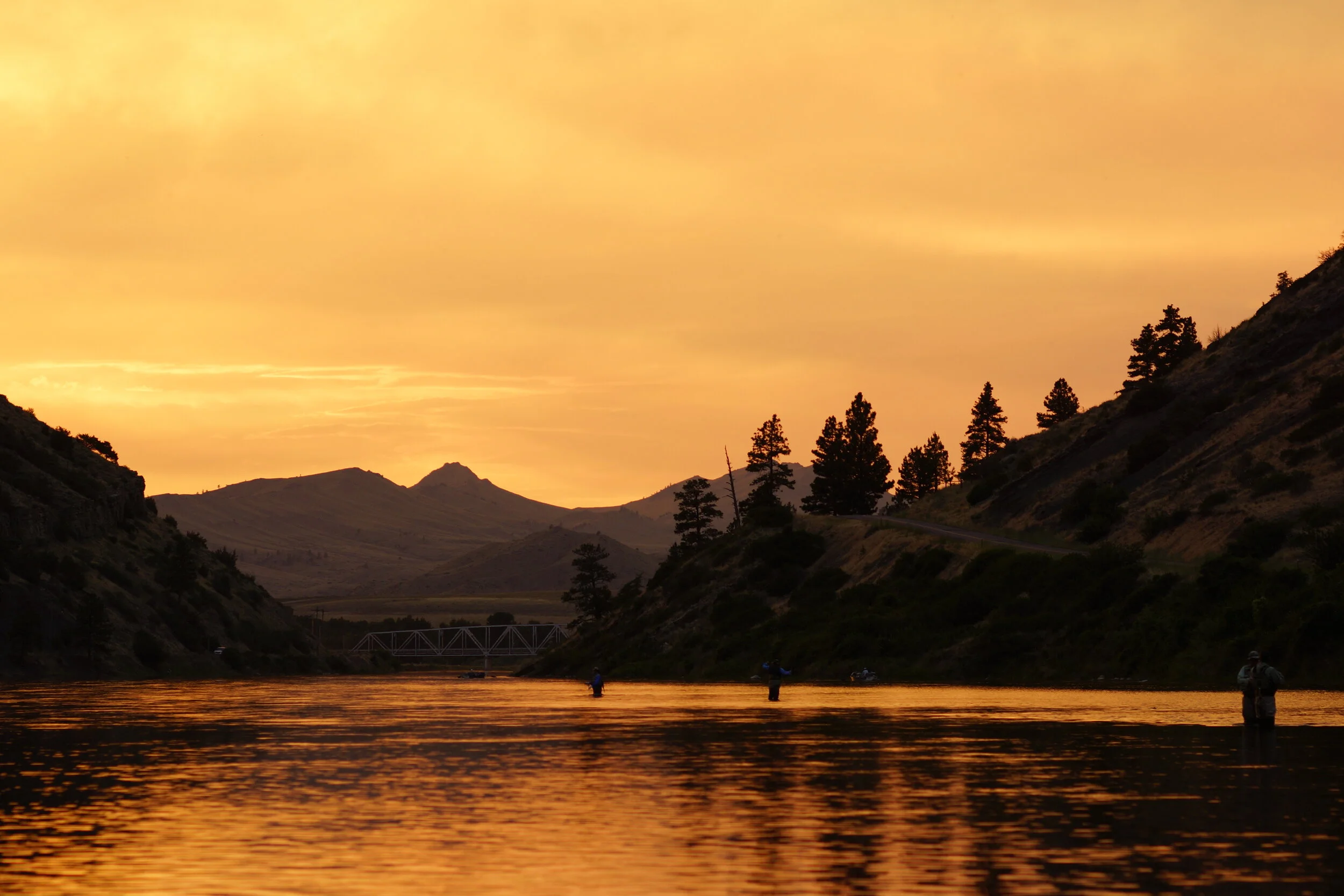 Montana July 2014.JPG