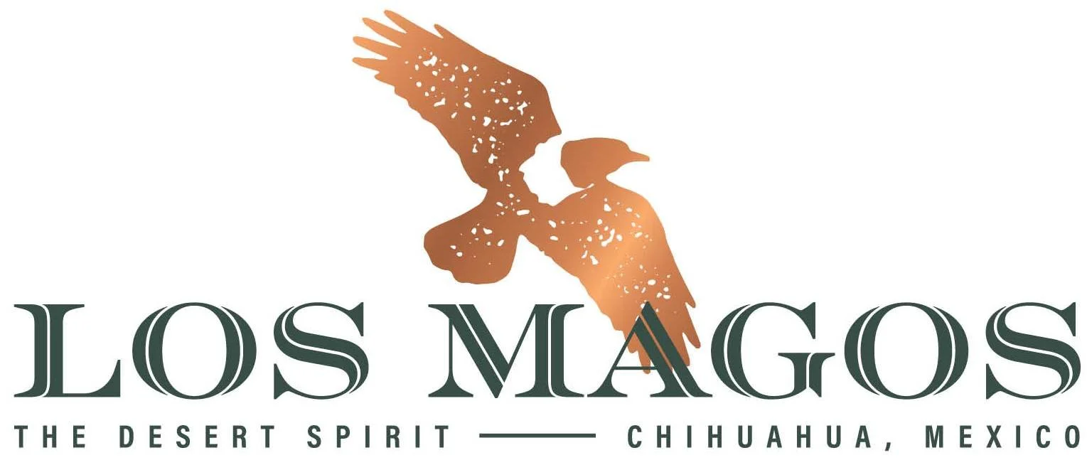 LosMagos_Logo_3 cropped.jpg