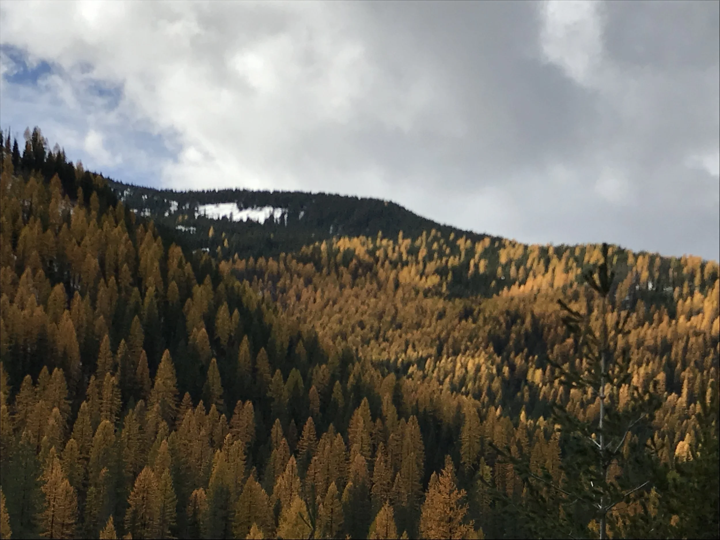 2017-10-22 12.58.33.jpg