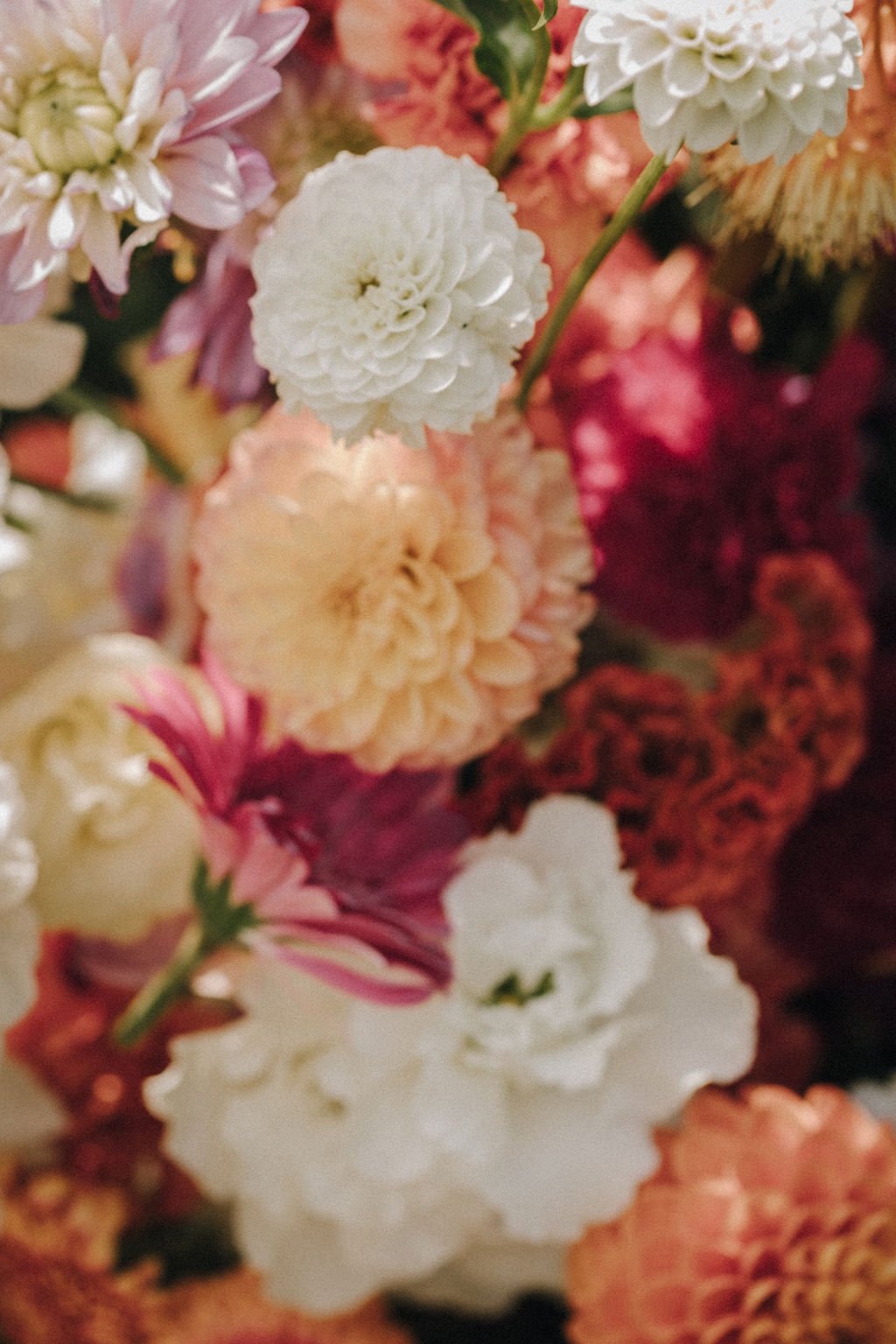 Un bouquet de fleurs variées, notamment des dahlias et des chrysanthèmes, dans des tons pastel de blanc, rose, orange et rouge, avec des feuilles vertes visibles.