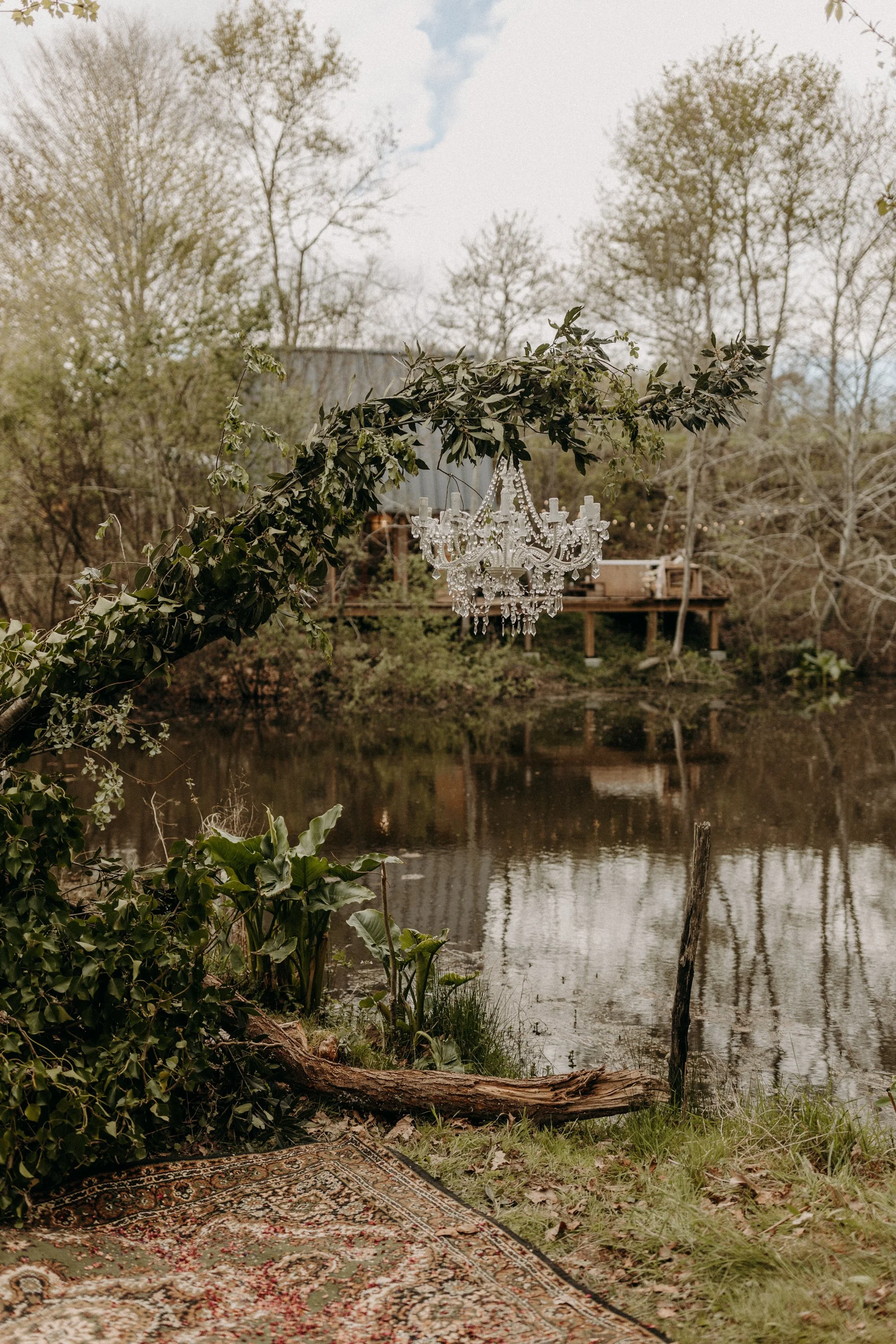 Un chandelier suspendu à une branche d'arbre au-dessus d'une rivière, avec un tapis et des plantes à la rive.