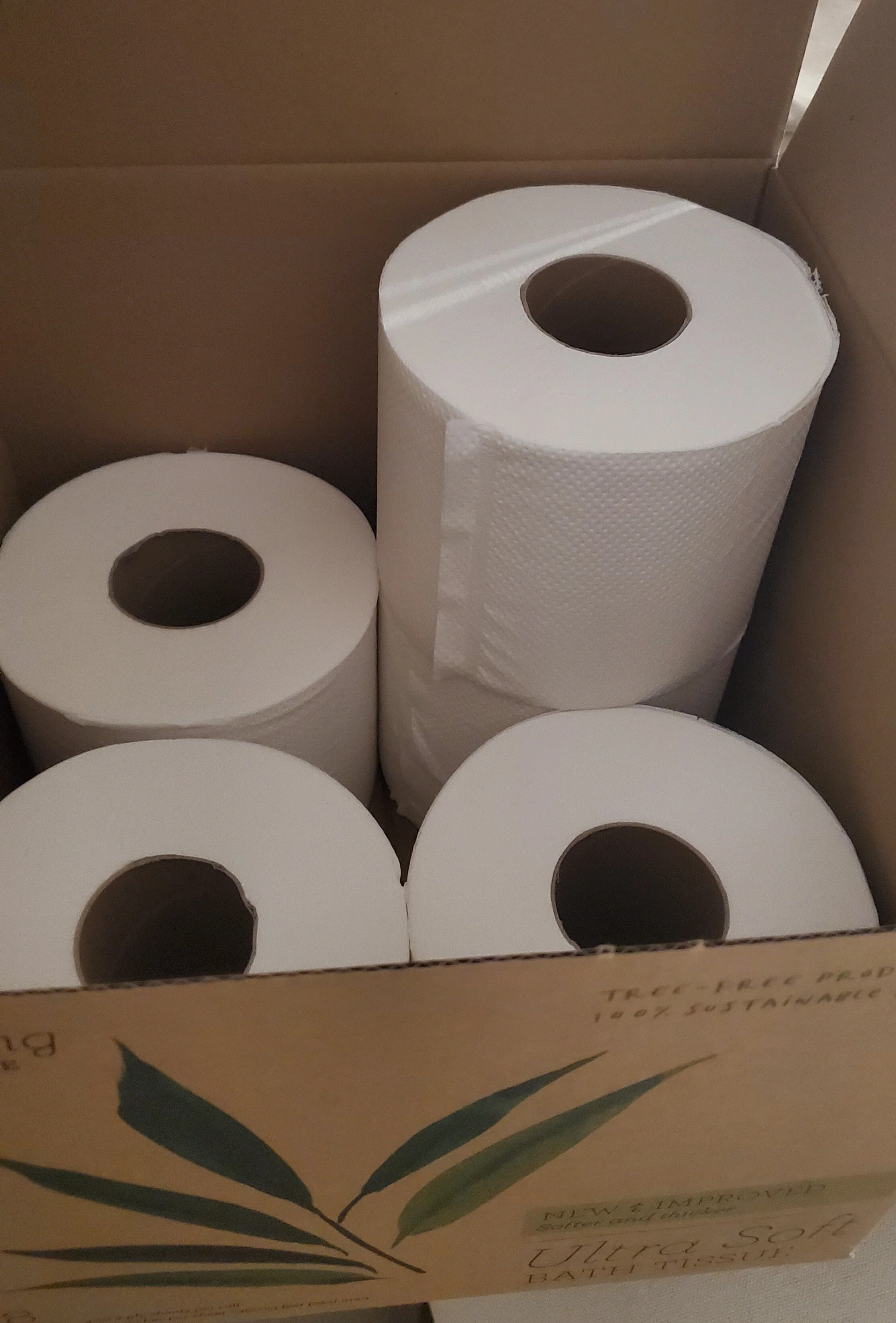 TRR Review We used Grove Collaborative's Seedling sustainable bamboo