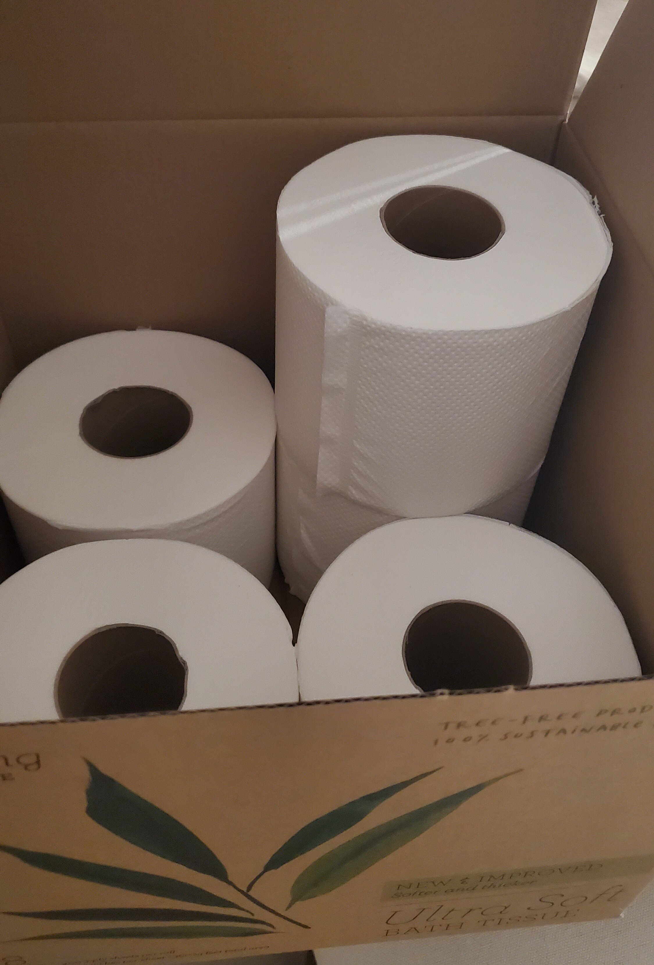 TRR Review We used Grove Collaborative's Seedling sustainable bamboo