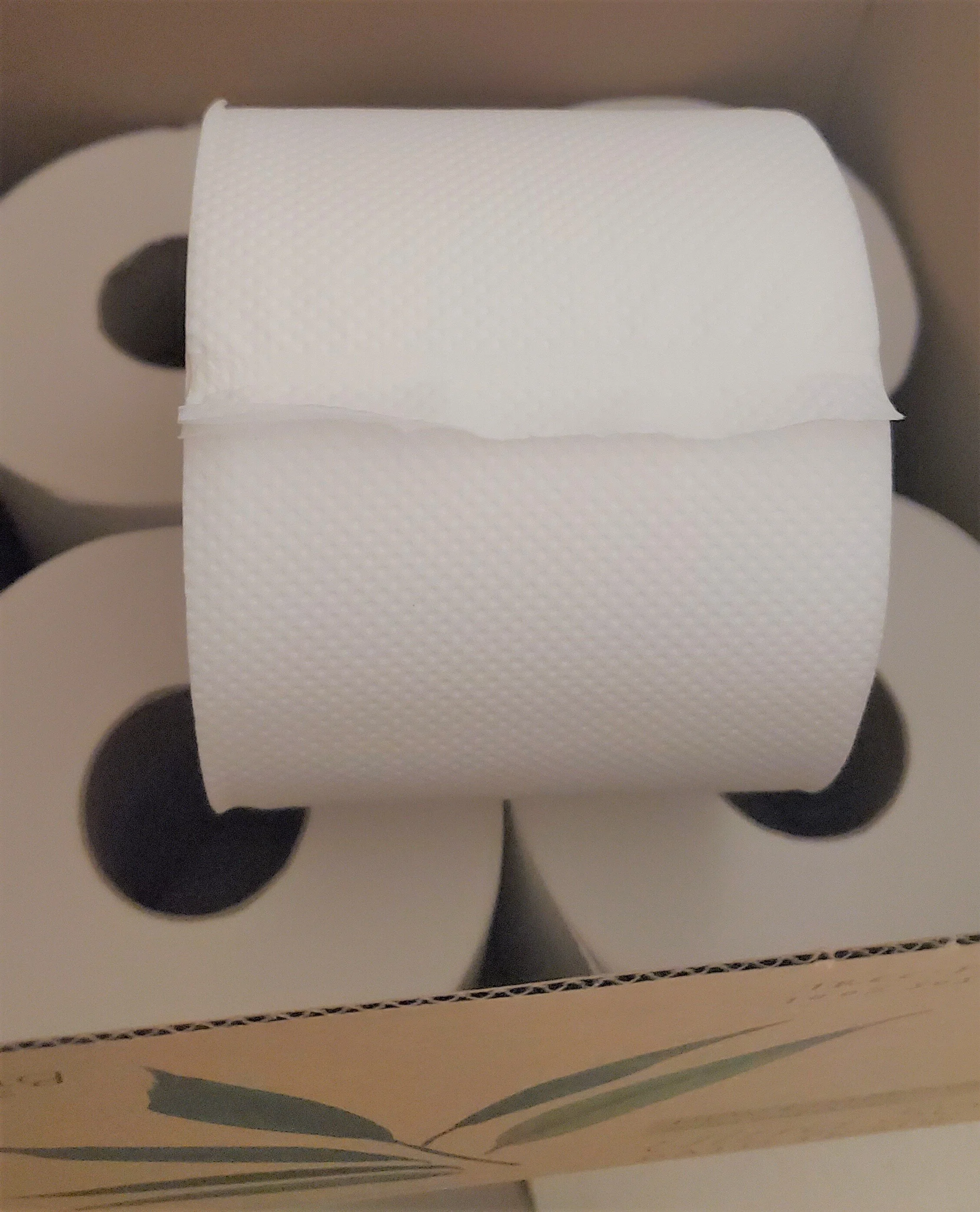 TRR Review We used Grove Collaborative's Seedling sustainable bamboo