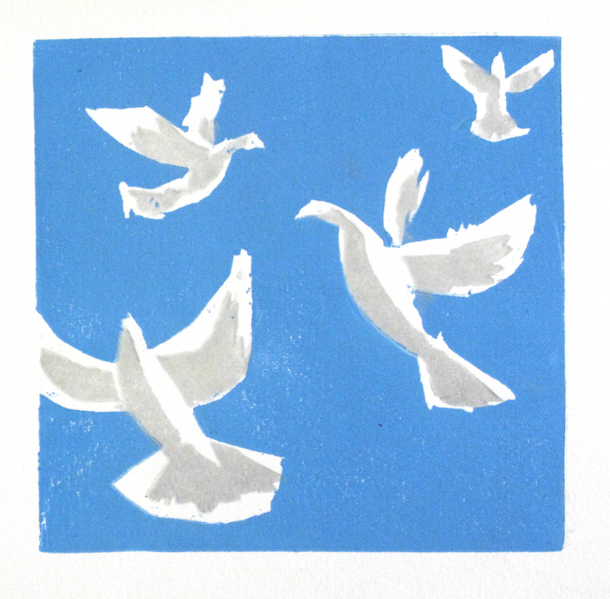 Doves in flight.jpg
