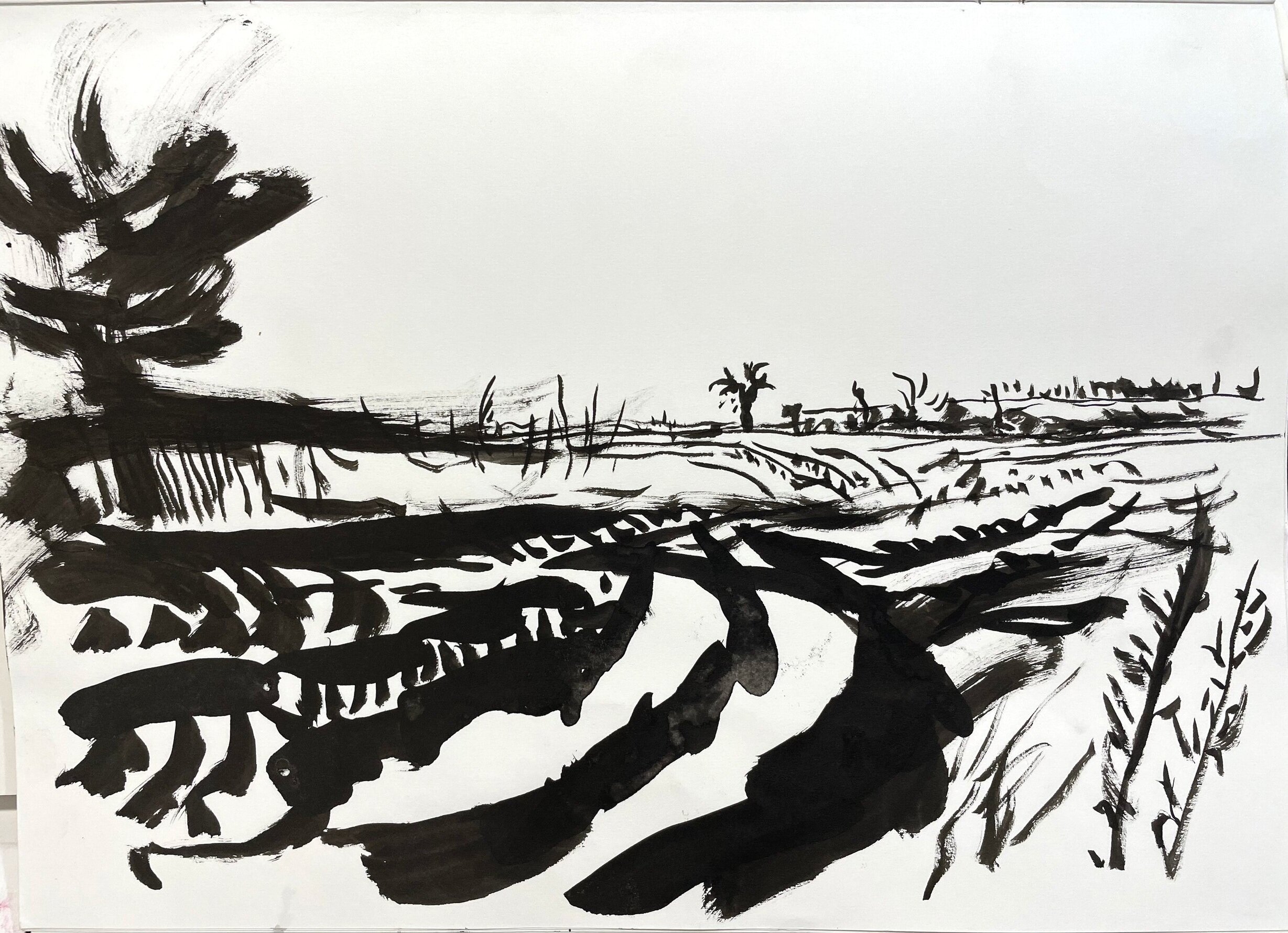 Field opposite #2 2021