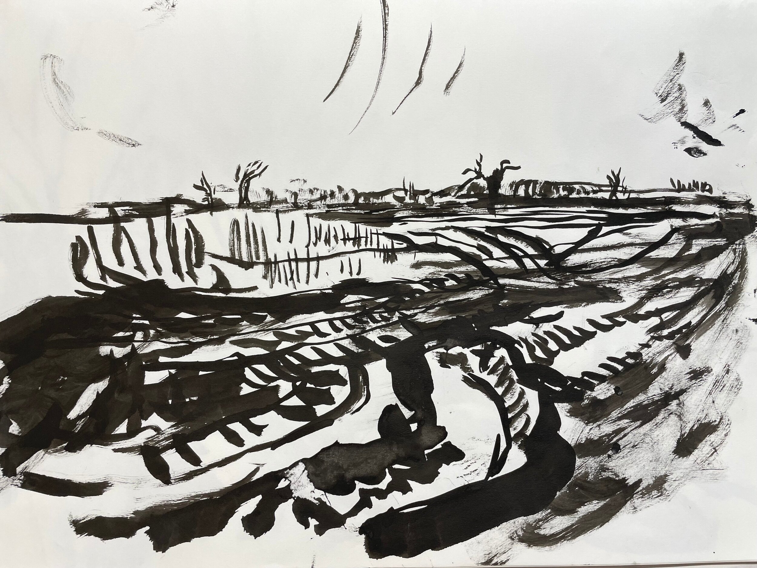 Field opposite #3 2021