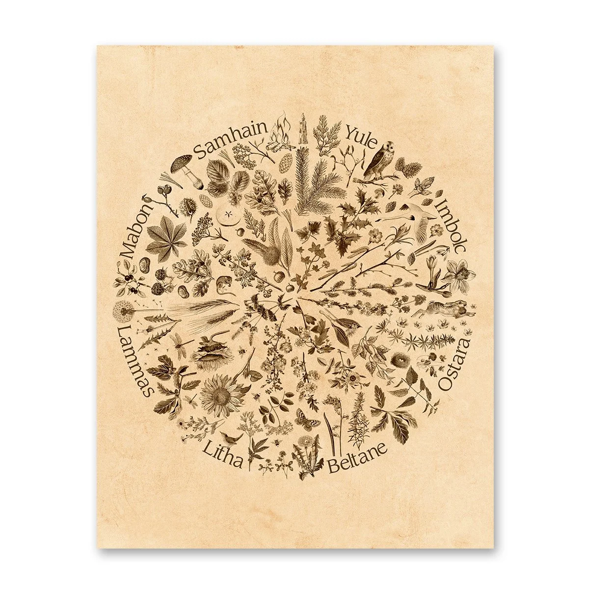 yearwheel-web.jpg