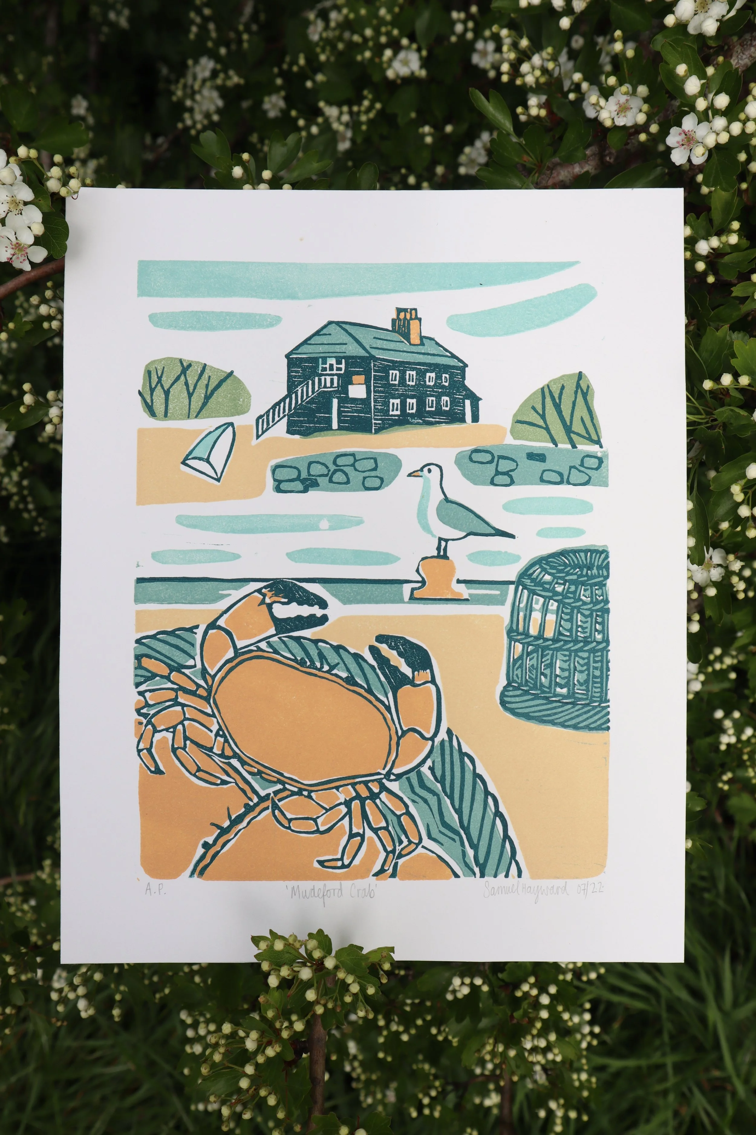 Samuel Hayward Mudeford Crab (1).JPG