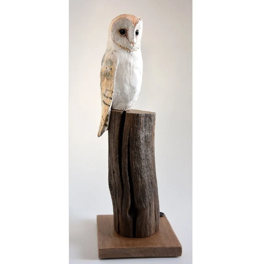barn owl.jpg