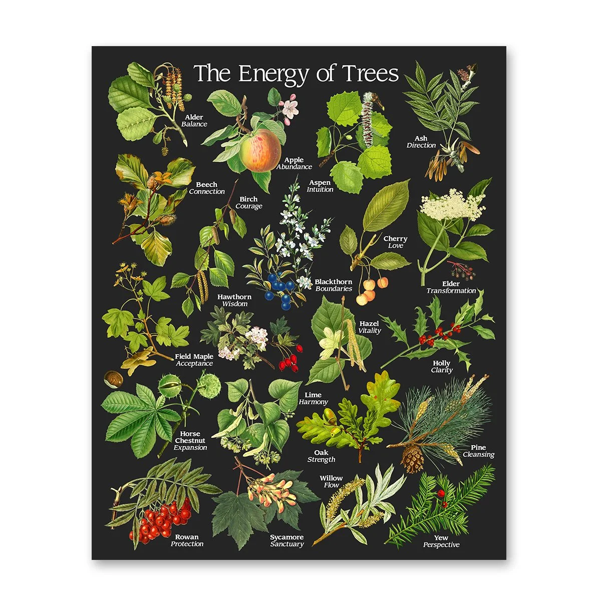 tree-dark-web.jpg