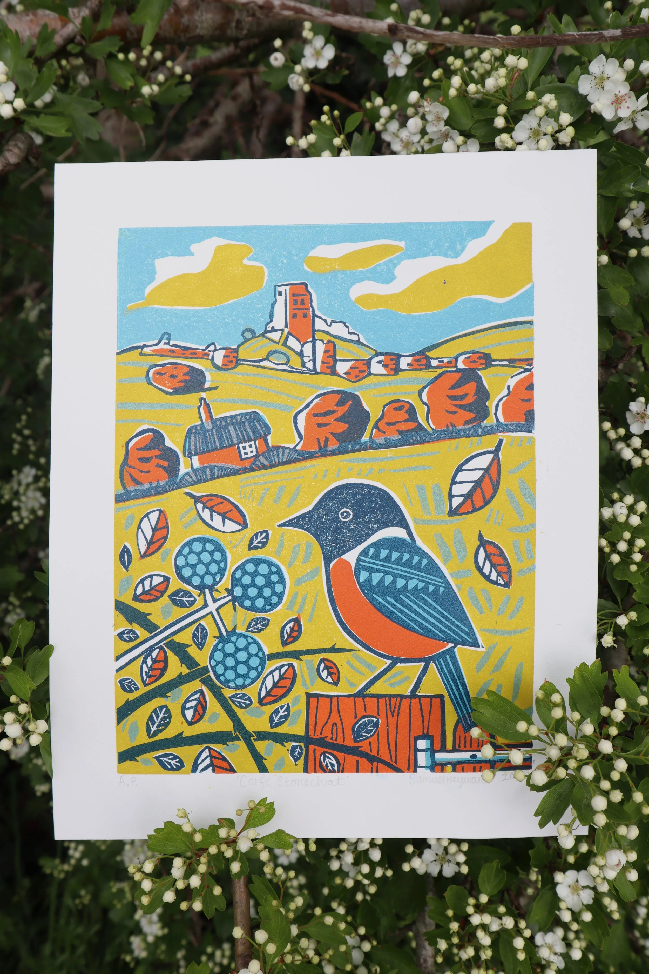Samuel Hayward Corfe Castle Stonechat (1).JPG