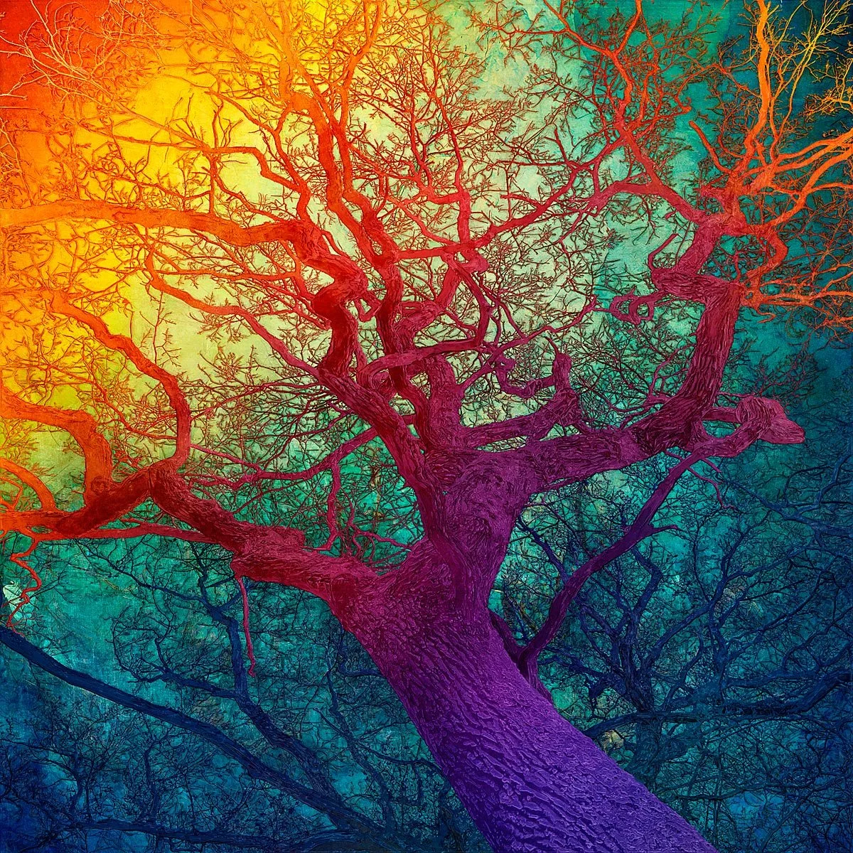 'N50.9761,  E0.1187' by Mark Munroe-Preston