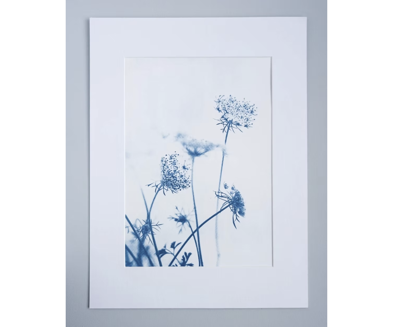 '4 Flowers' by Caroline Hodgson