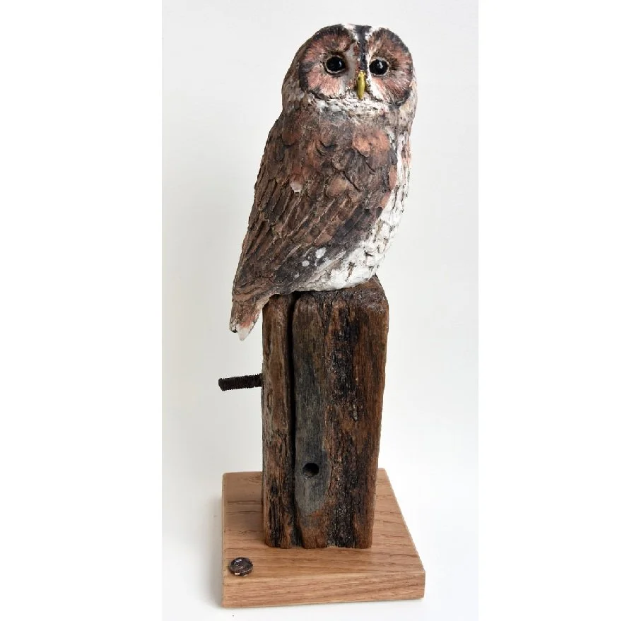 tawny owl.jpg
