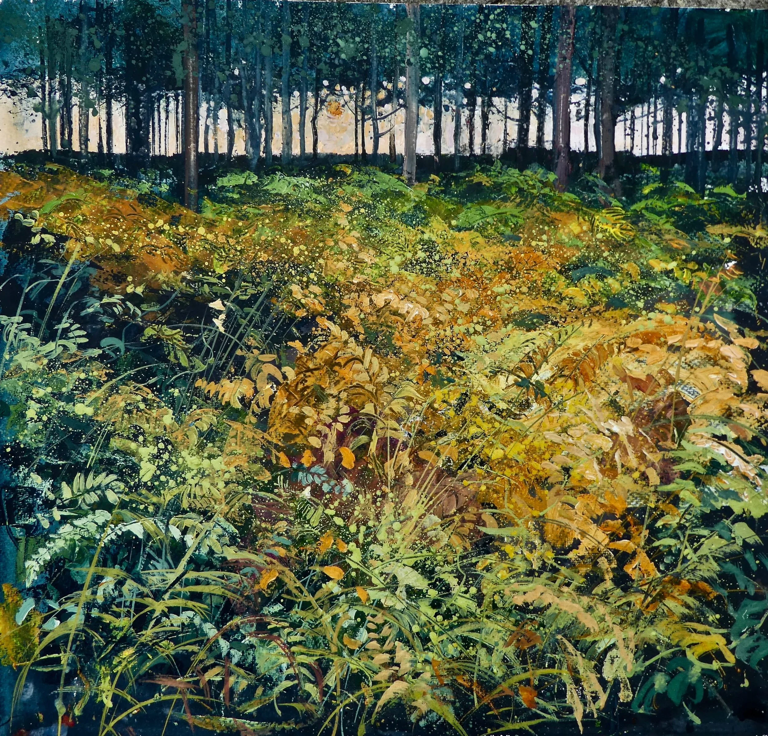 sunset-at-Slufters-inclosure-copy-scaled.jpg