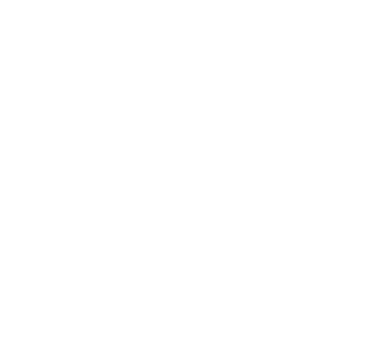 AMI Handyman