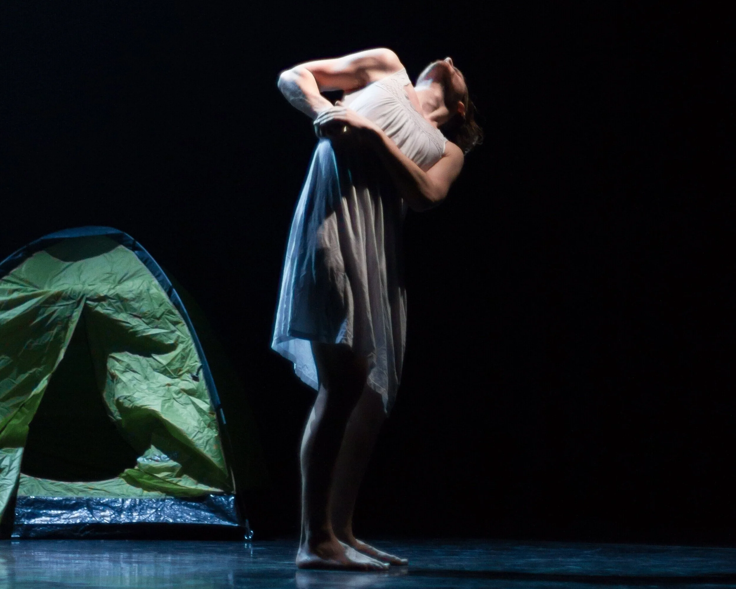 dreaming-in-code-hereford-2faced-dance-11.jpg