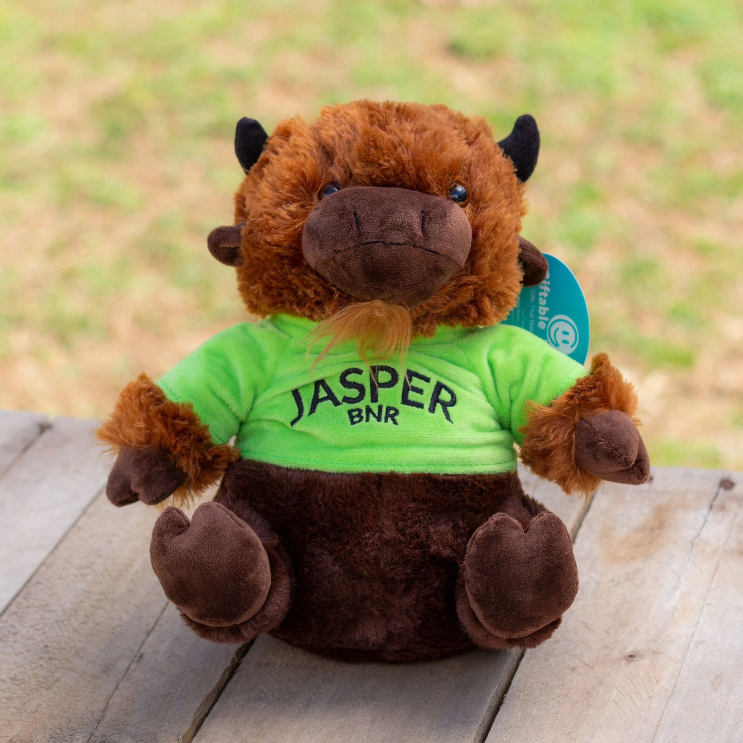 Jasper the Buffalo Stuffed Animal.jpg