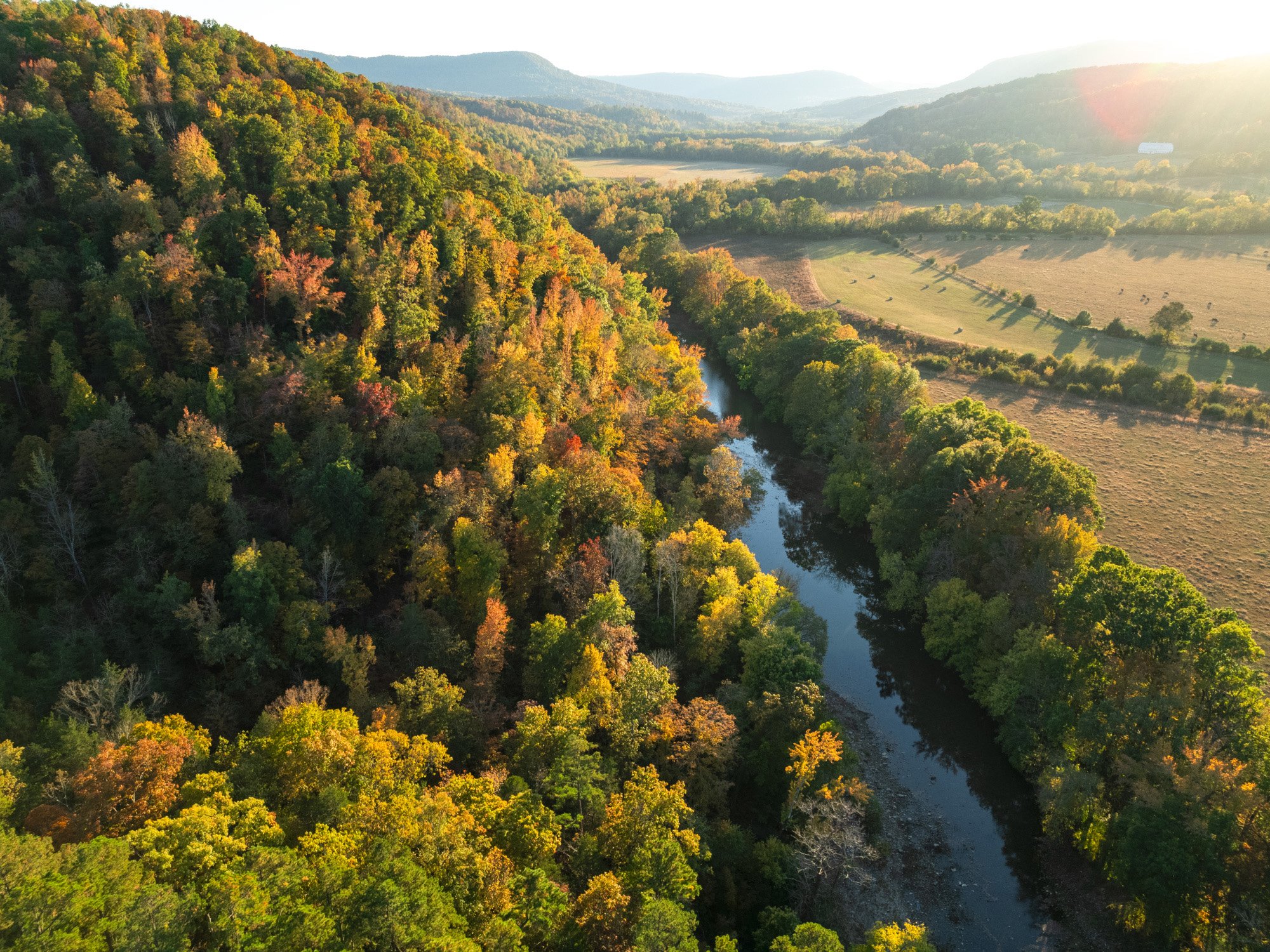 Peak Time for Fall Leaves in Jasper, Arkansas: 2025 — JasperArkansas.com