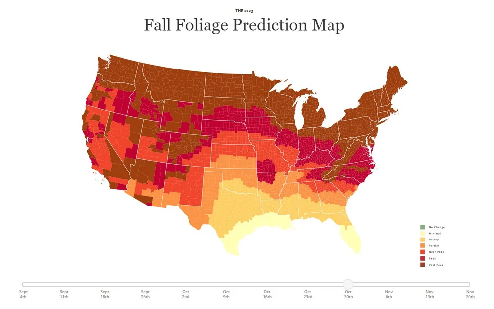 Peak Time for Fall Leaves in Jasper, Arkansas 2023 —