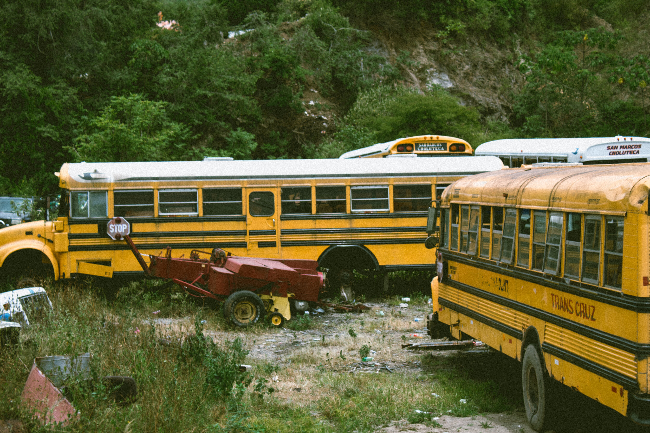 Bus Drive Now