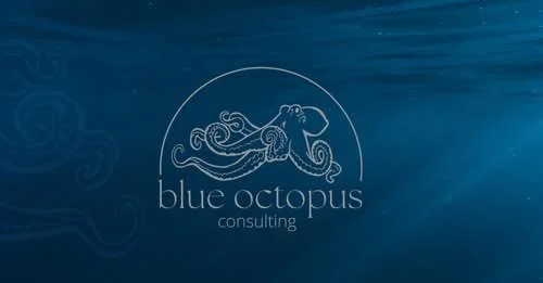 Blue Octopus Consulting 2025-2026
